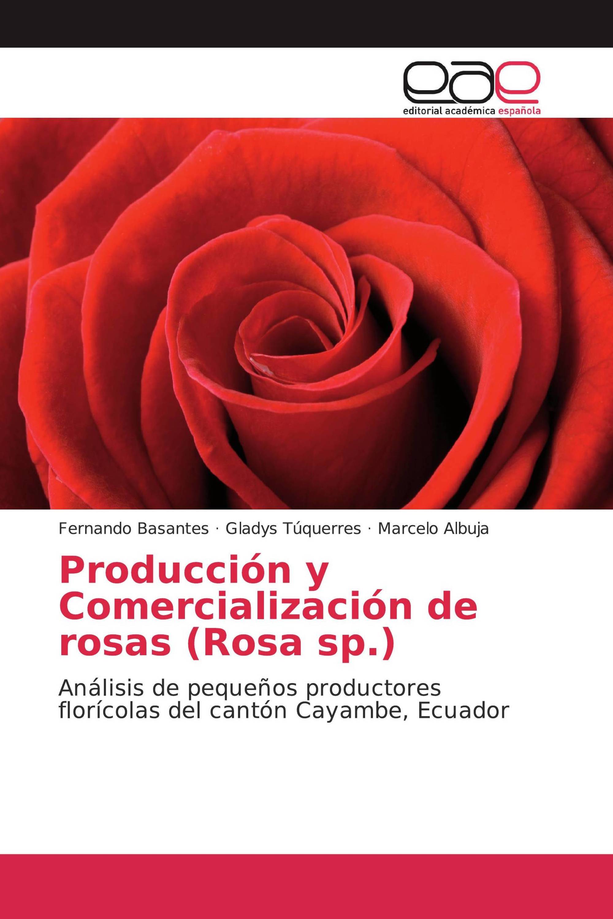 Producción y Comercialización de rosas (Rosa sp.)