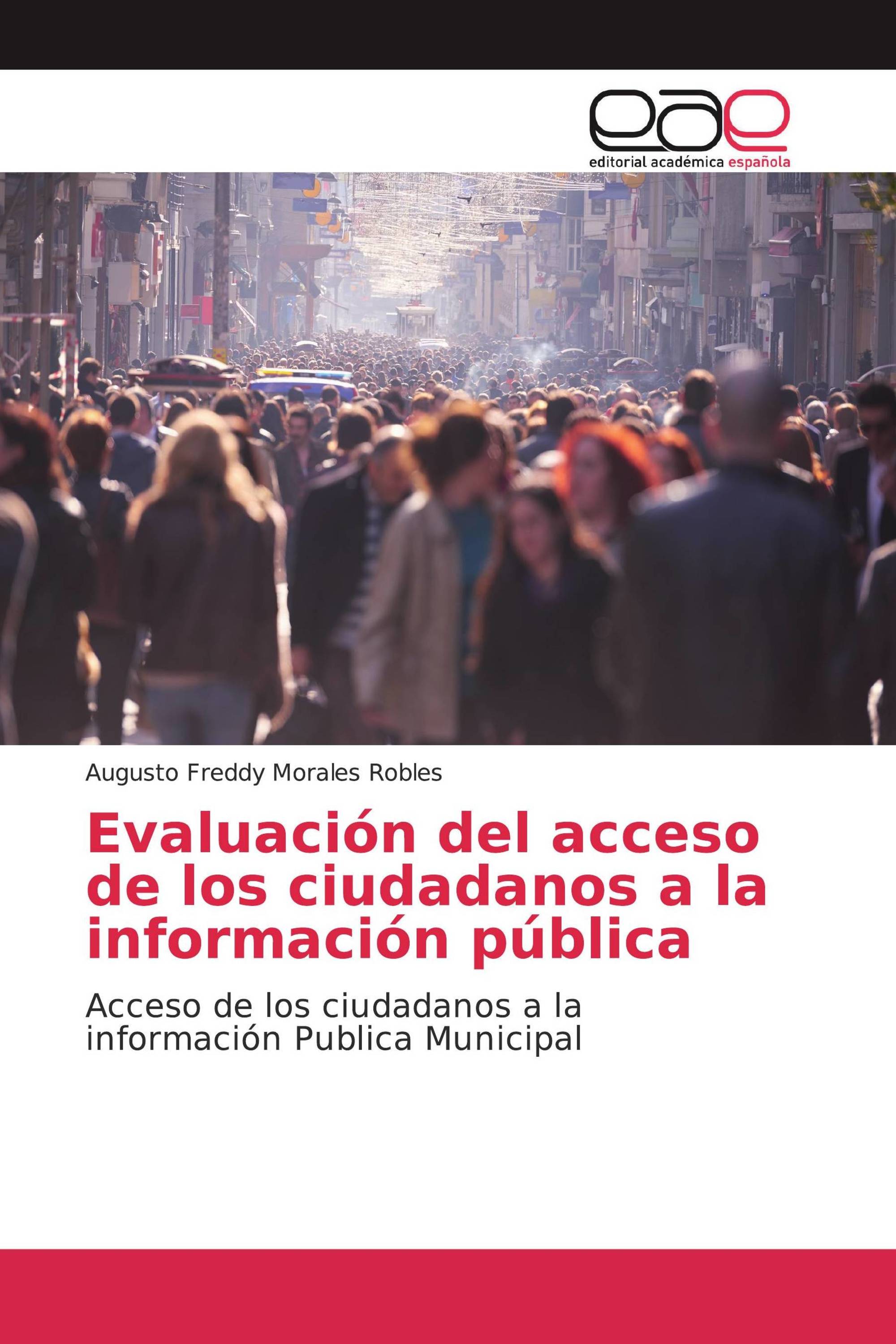 Evaluación del acceso de los ciudadanos a la información pública