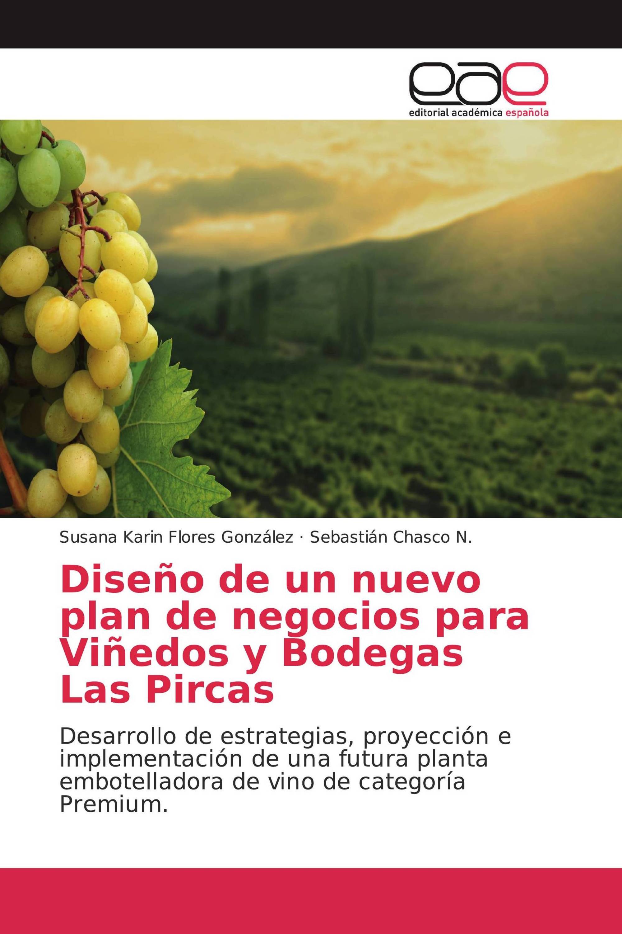 Diseño de un nuevo plan de negocios para Viñedos y Bodegas Las Pircas