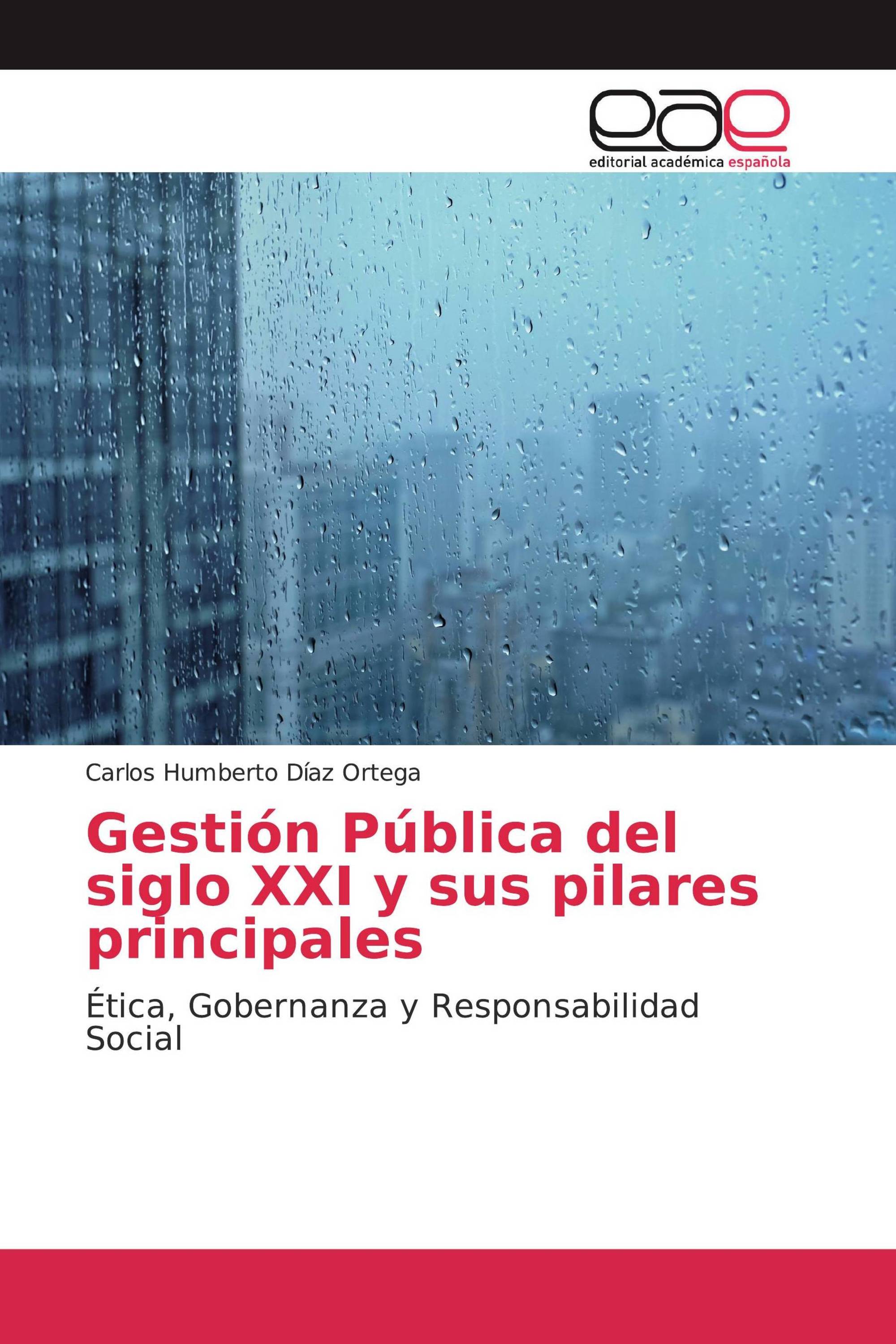 Gestión Pública del siglo XXI y sus pilares principales