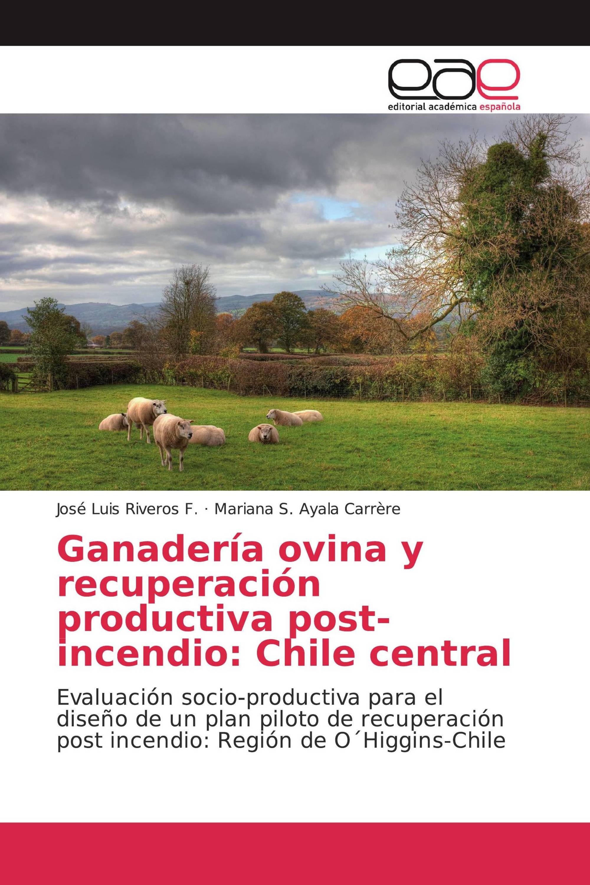 Ganadería ovina y recuperación productiva post-incendio: Chile central