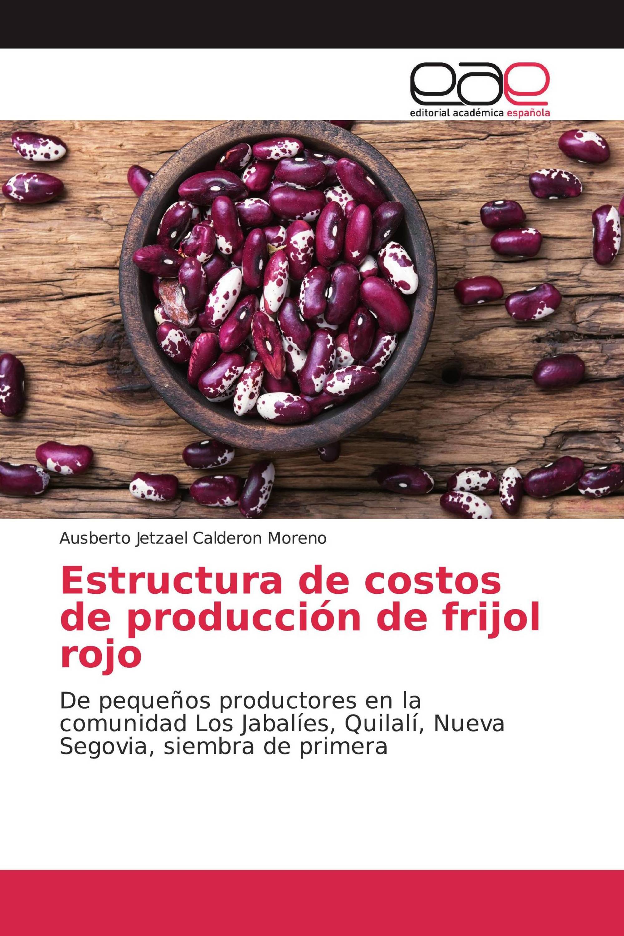 Estructura de costos de producción de frijol rojo