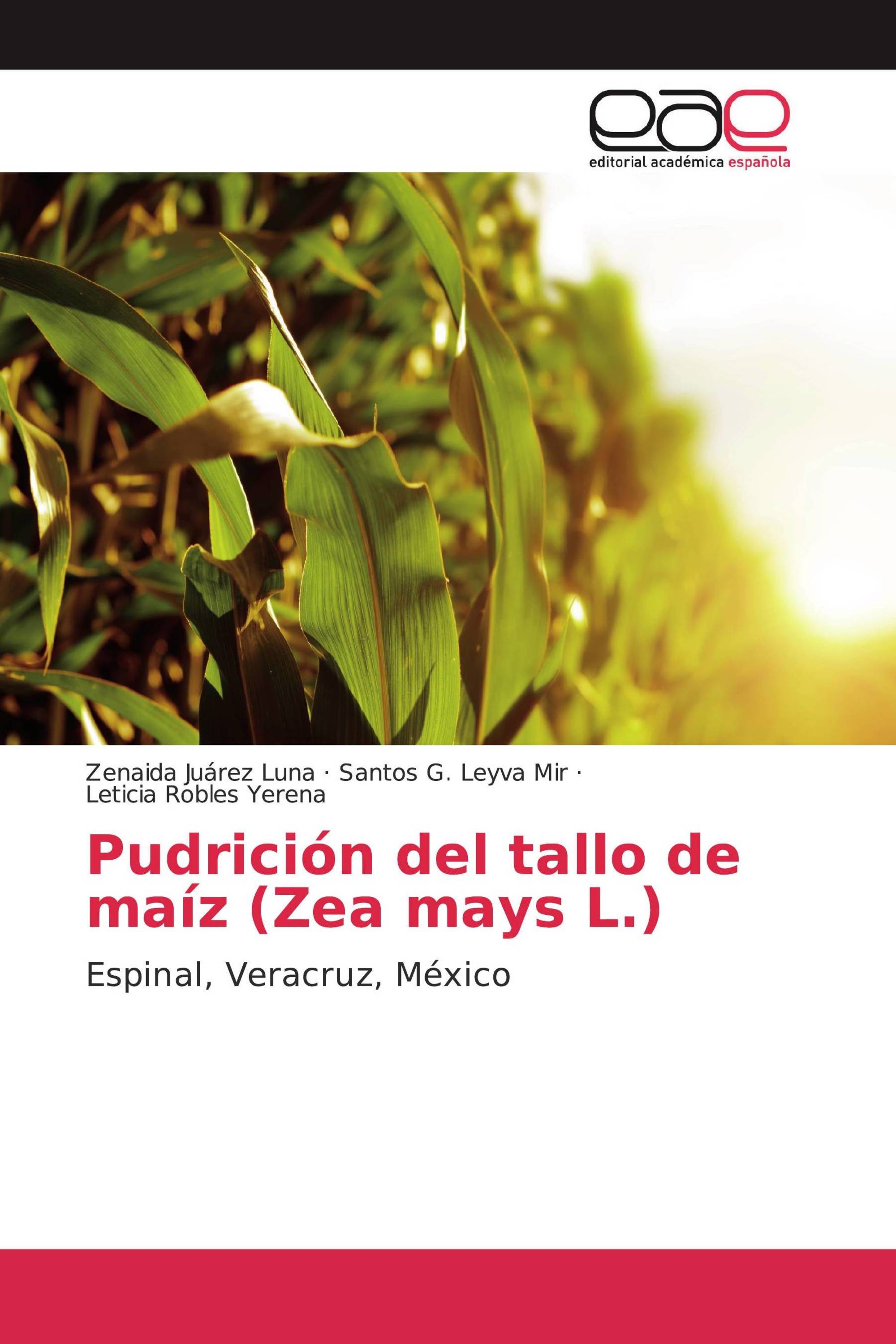 Pudrición del tallo de maíz (Zea mays L.)