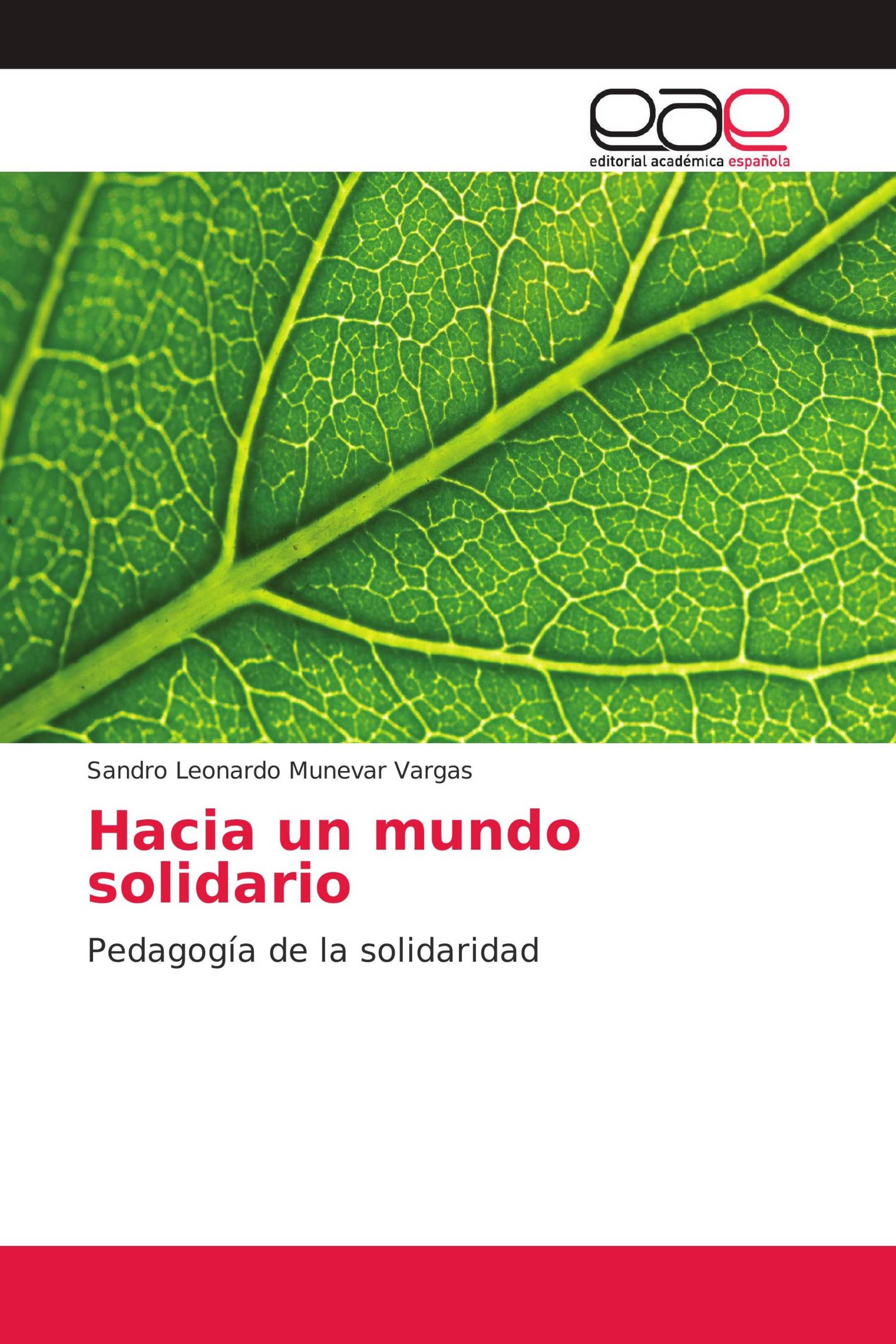 Hacia un mundo solidario