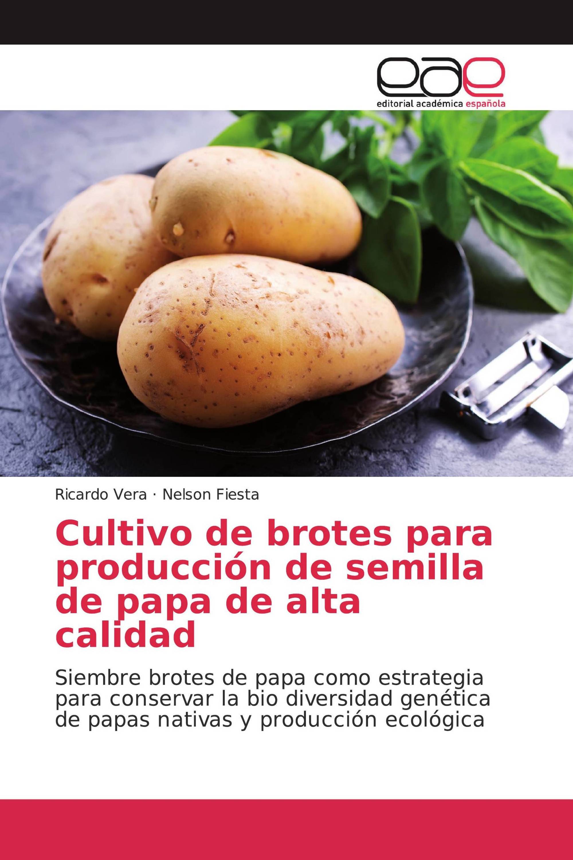 Cultivo de brotes para producción de semilla de papa de alta calidad