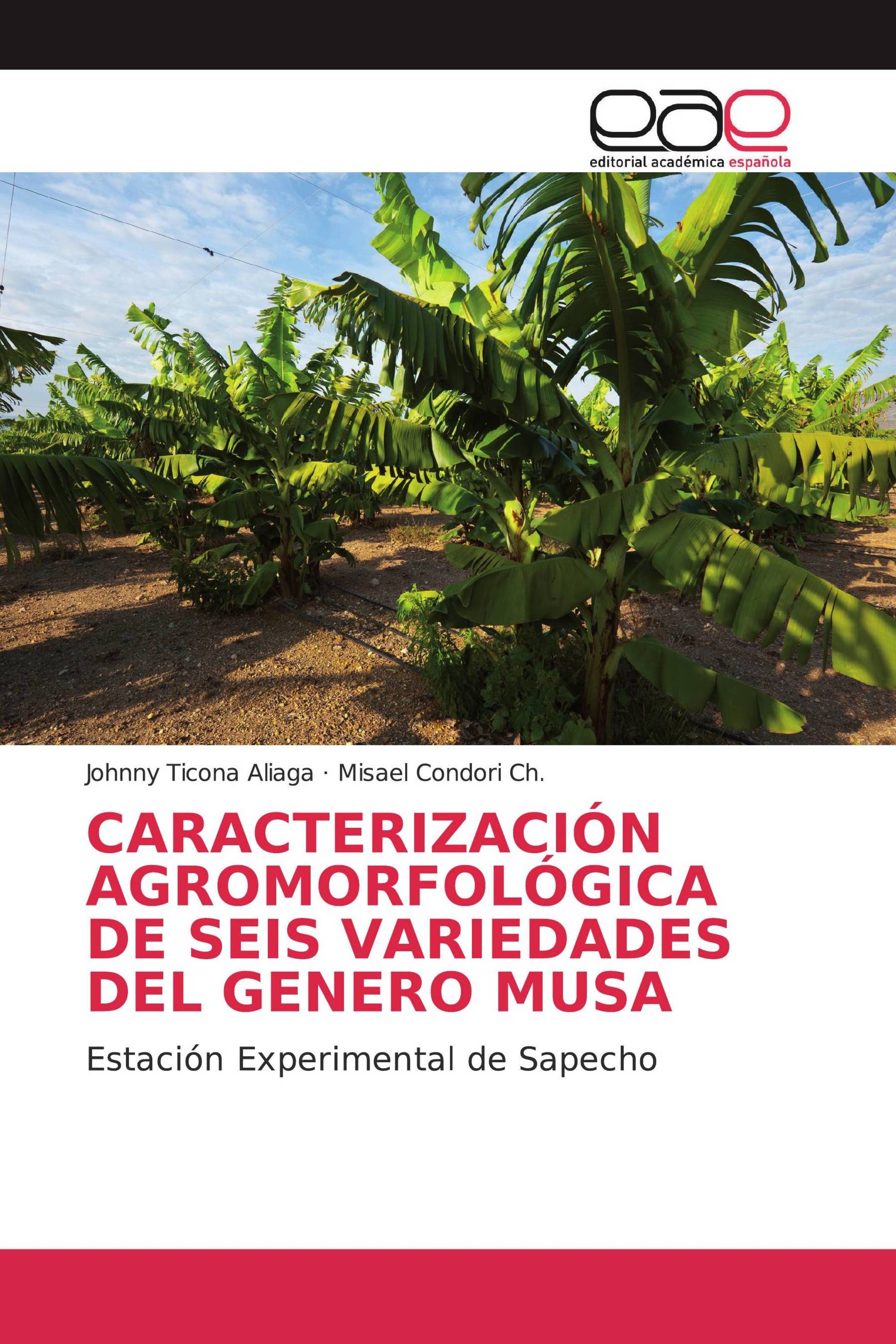 CARACTERIZACIÓN AGROMORFOLÓGICA DE SEIS VARIEDADES DEL GENERO MUSA