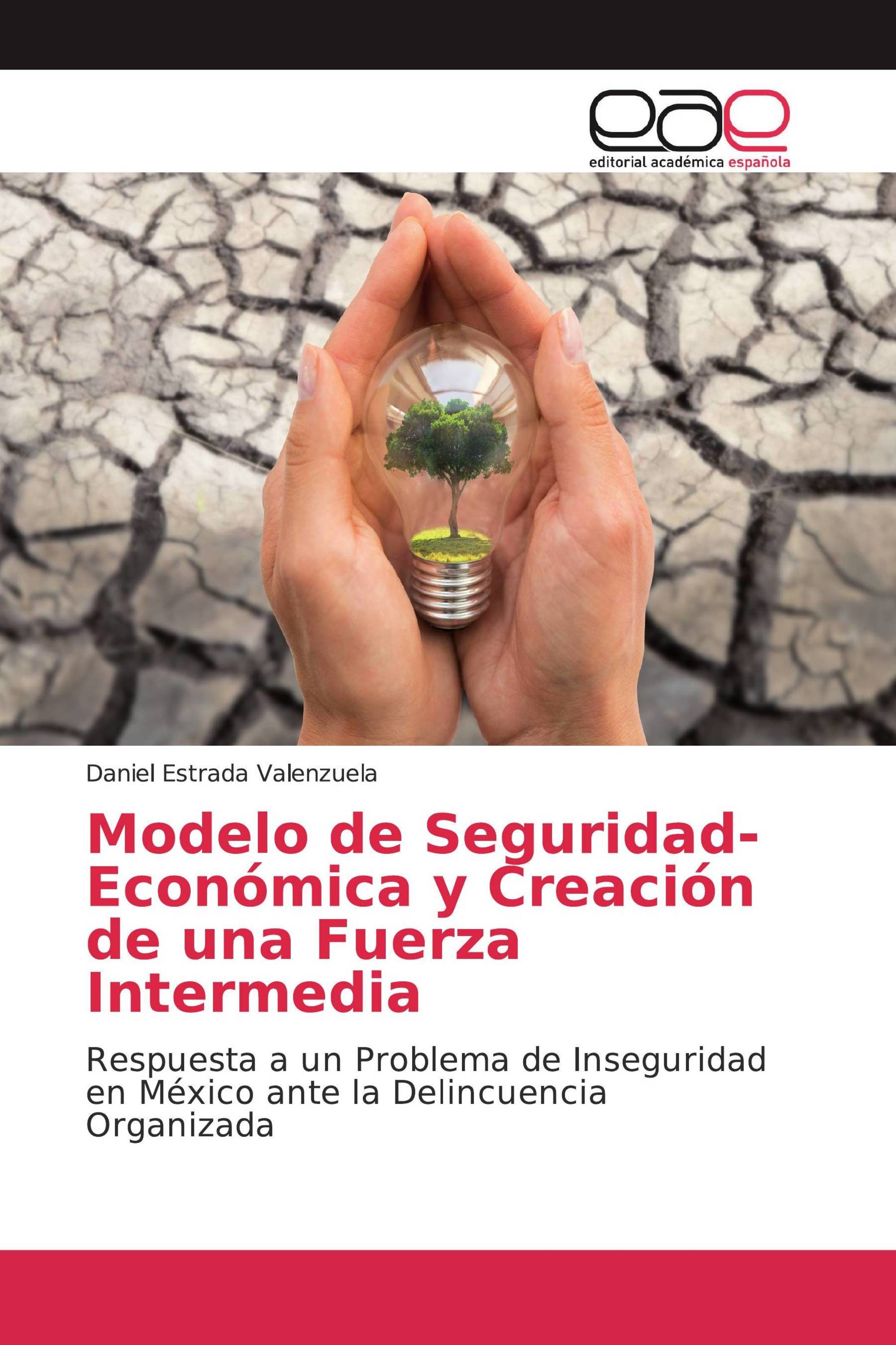 Modelo de Seguridad-Económica y Creación de una Fuerza Intermedia