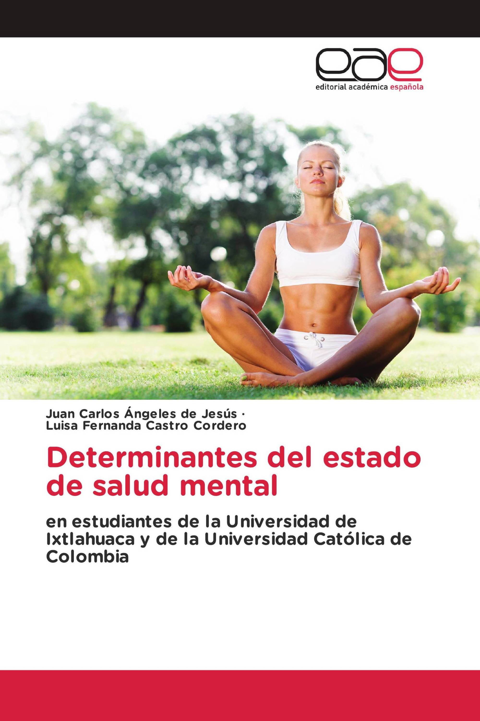 Determinantes del estado de salud mental