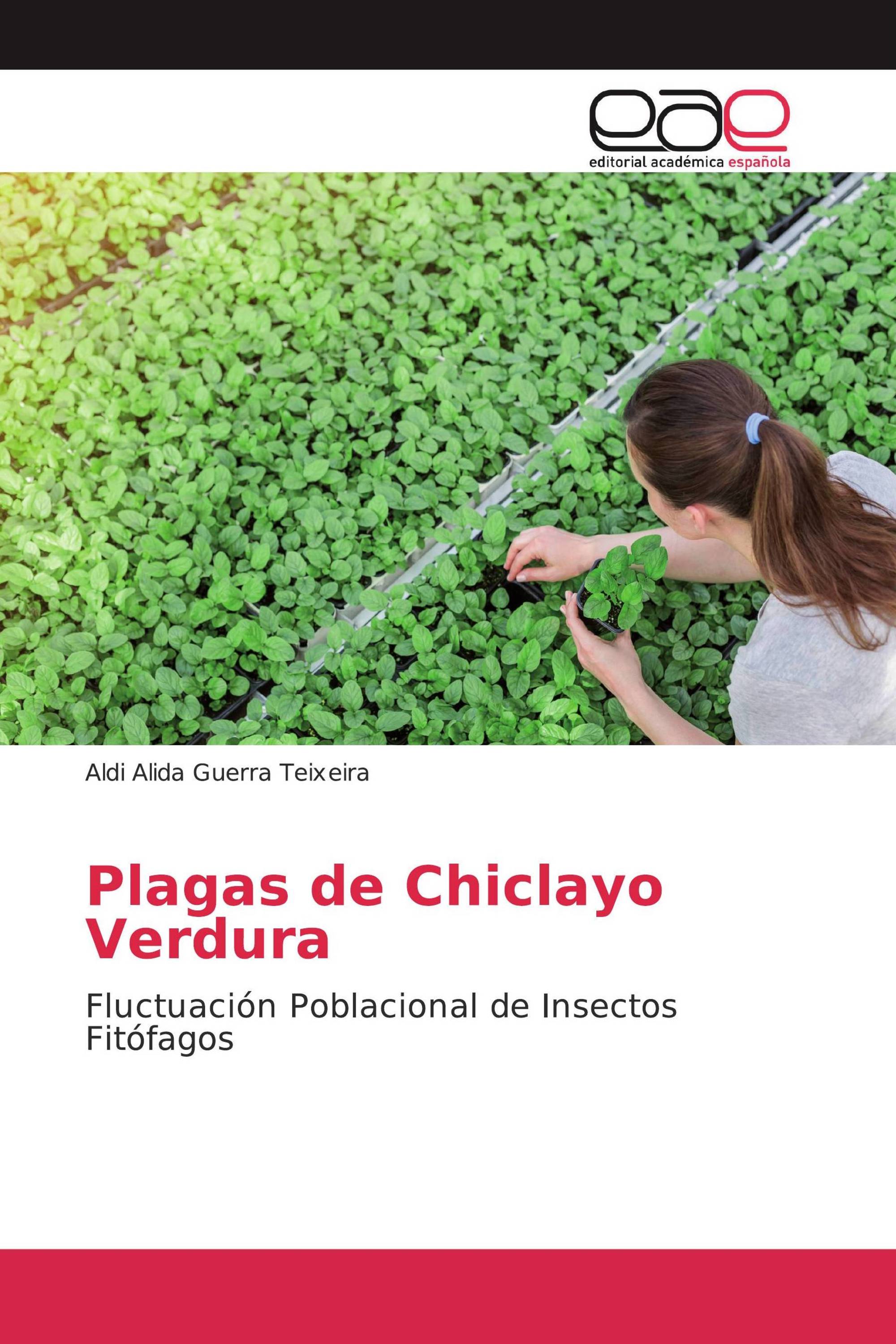 Plagas de Chiclayo Verdura