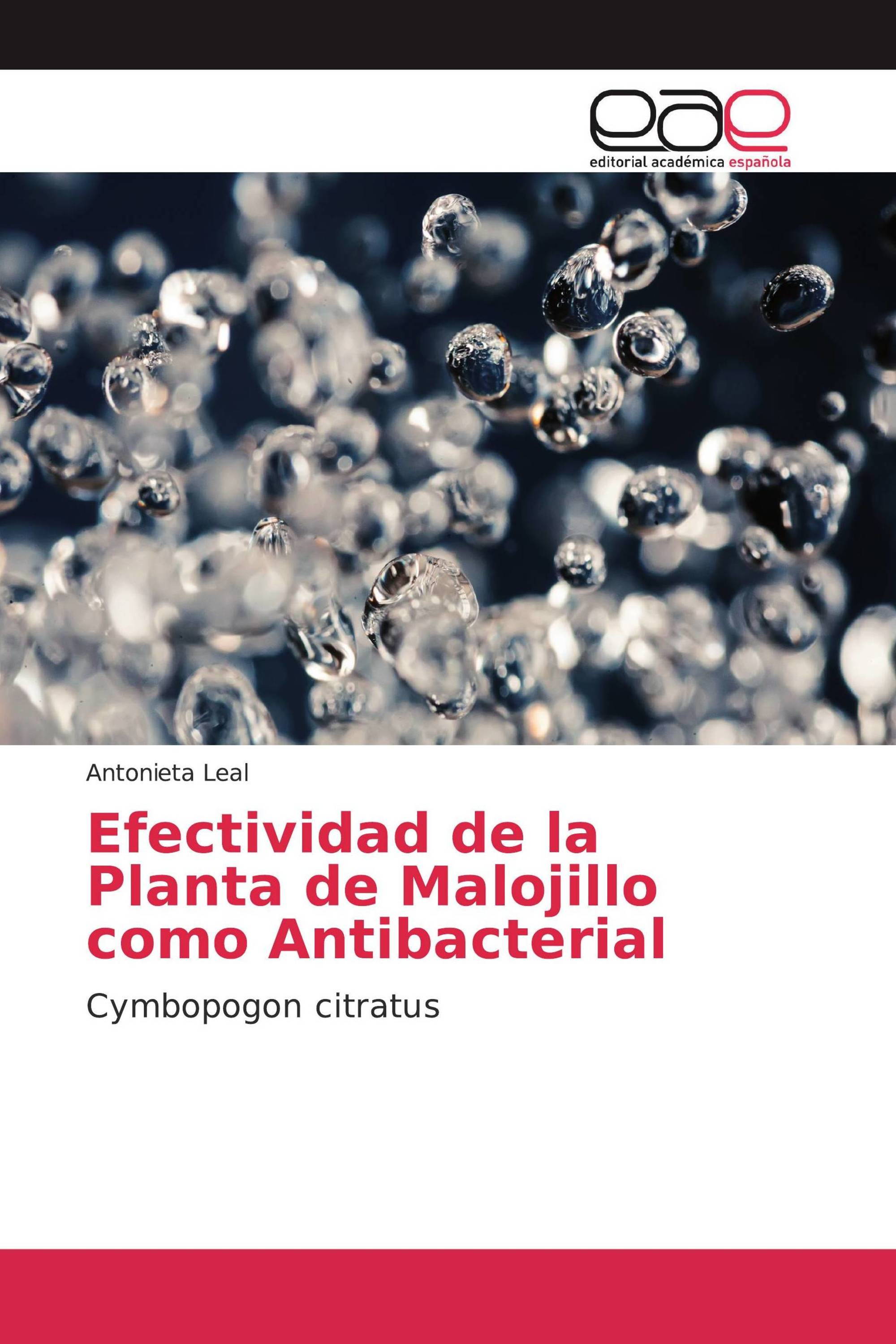 Efectividad de la Planta de Malojillo como Antibacterial