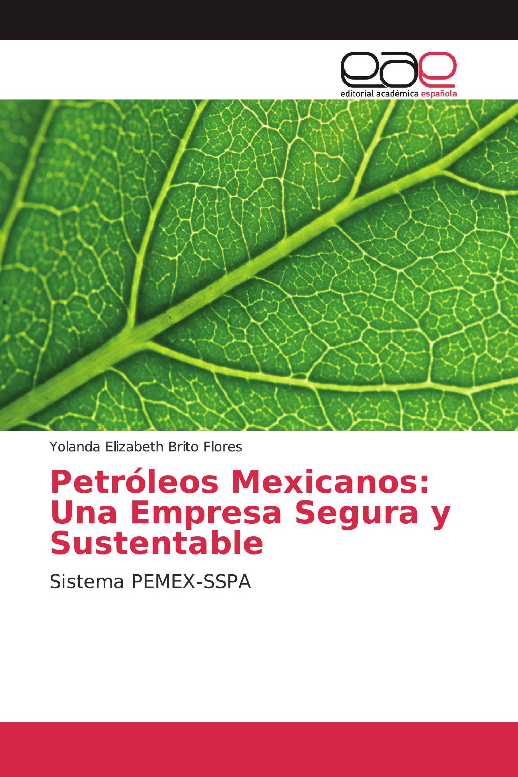 Petróleos Mexicanos: Una Empresa Segura y Sustentable