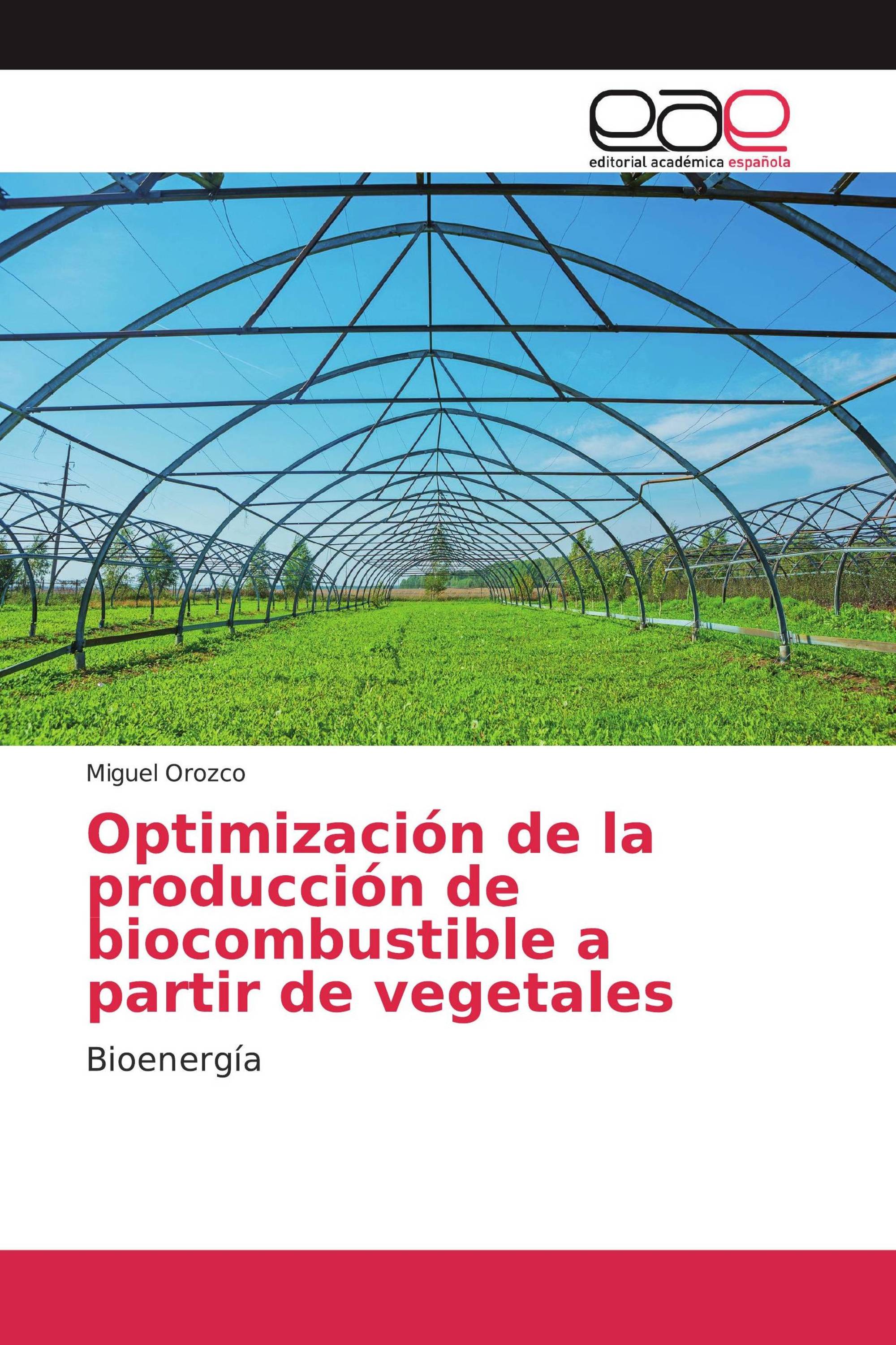 Optimización de la producción de biocombustible a partir de vegetales