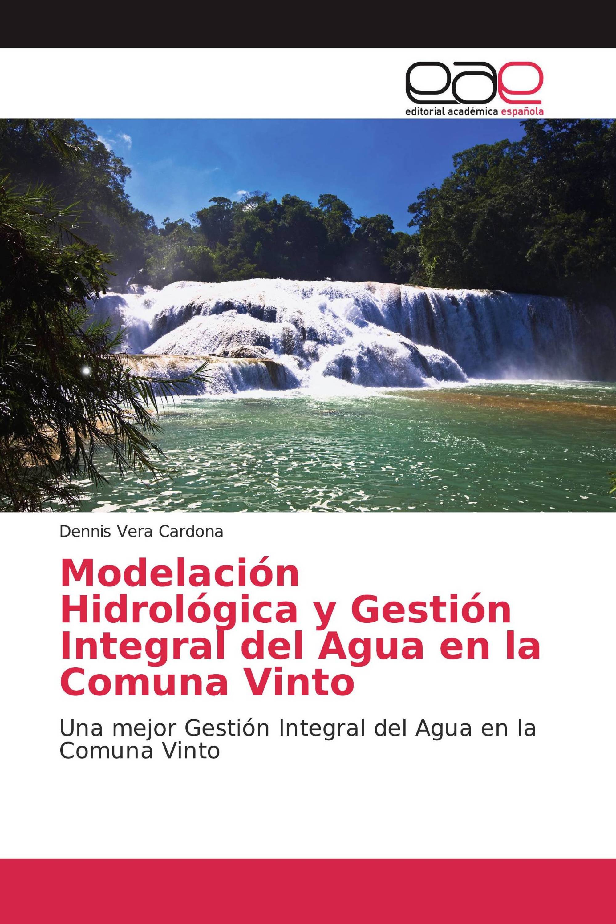 Modelación Hidrológica y Gestión Integral del Agua en la Comuna Vinto