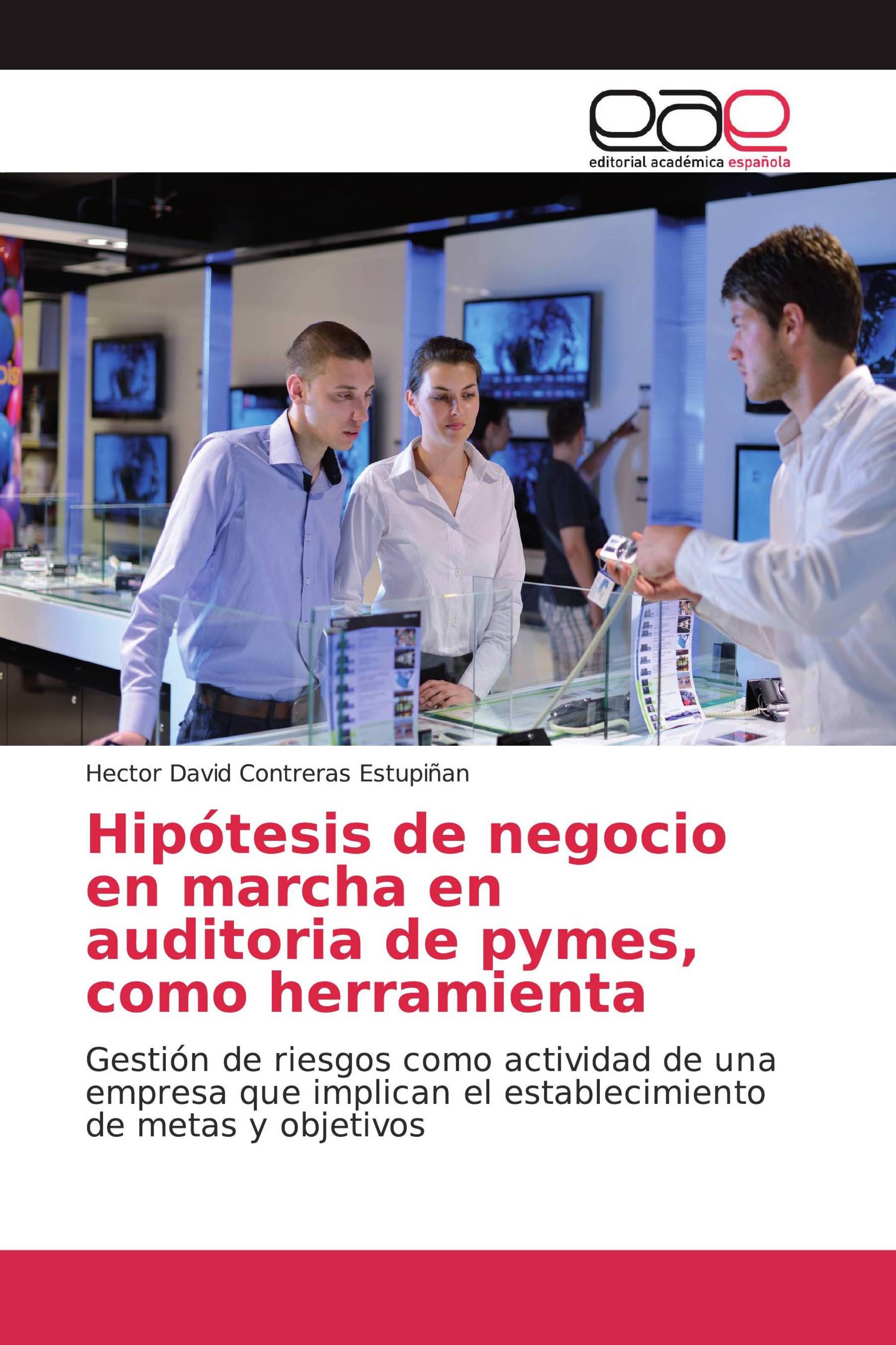 Hipótesis de negocio en marcha en auditoria de pymes, como herramienta