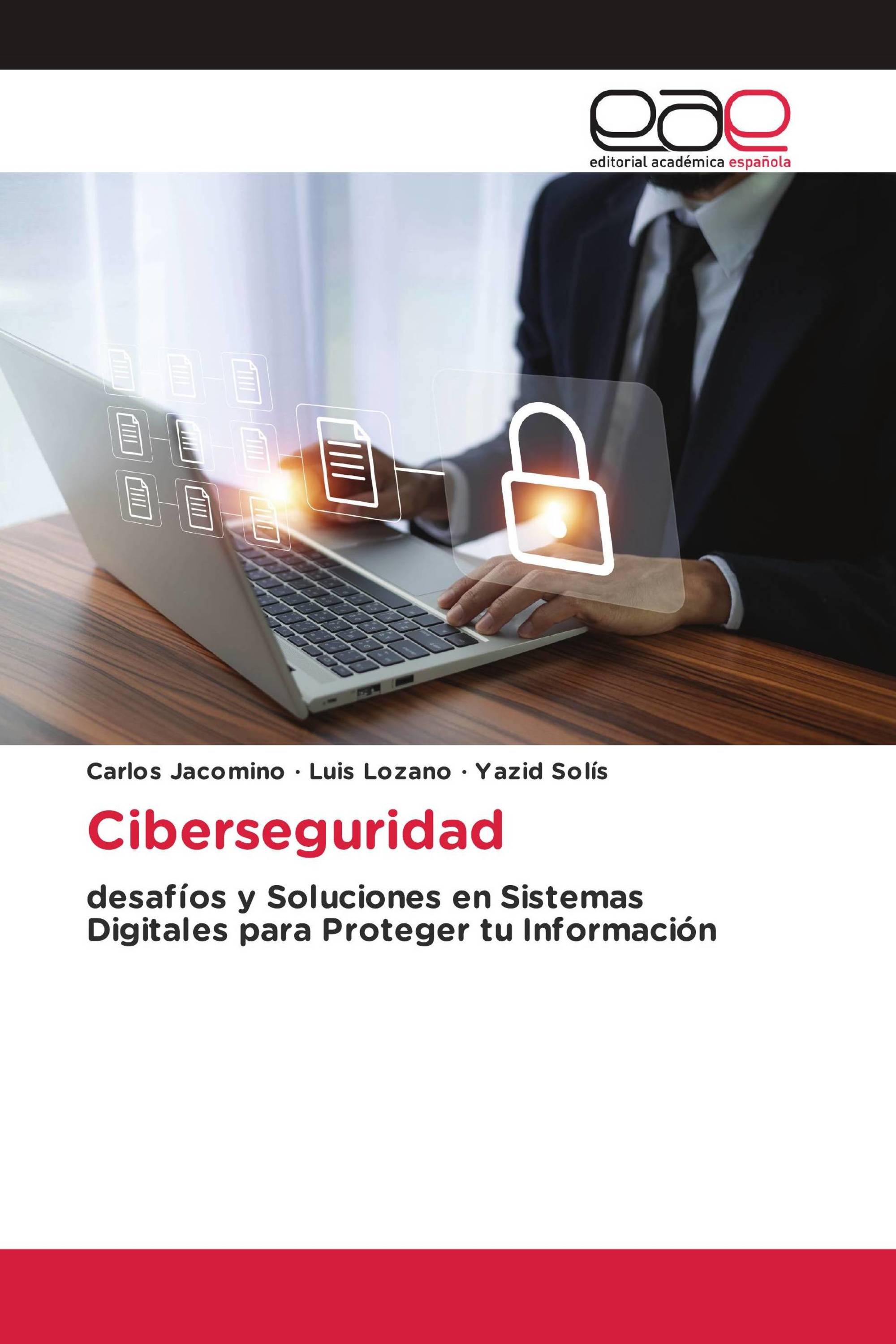 Ciberseguridad