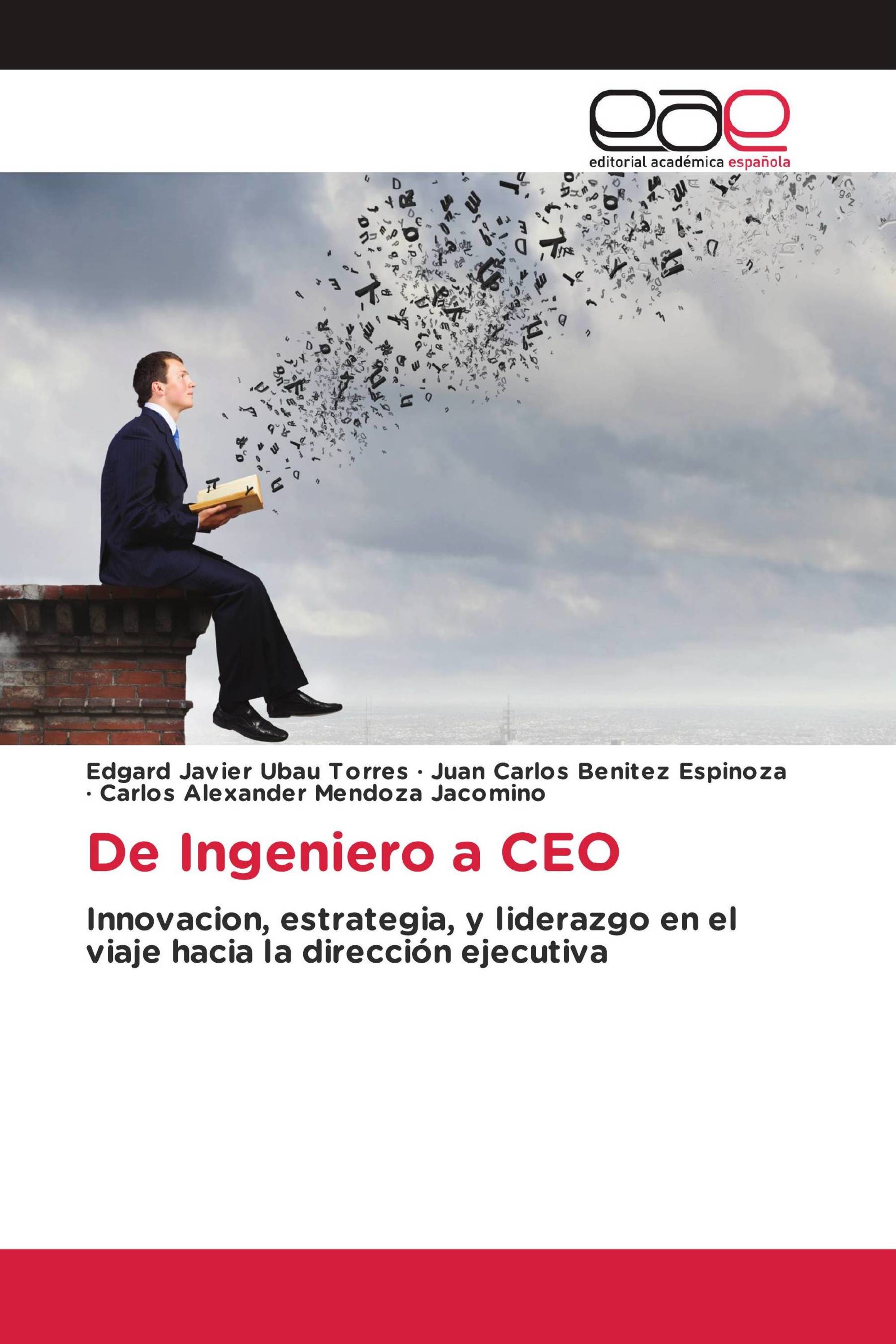 De Ingeniero a CEO