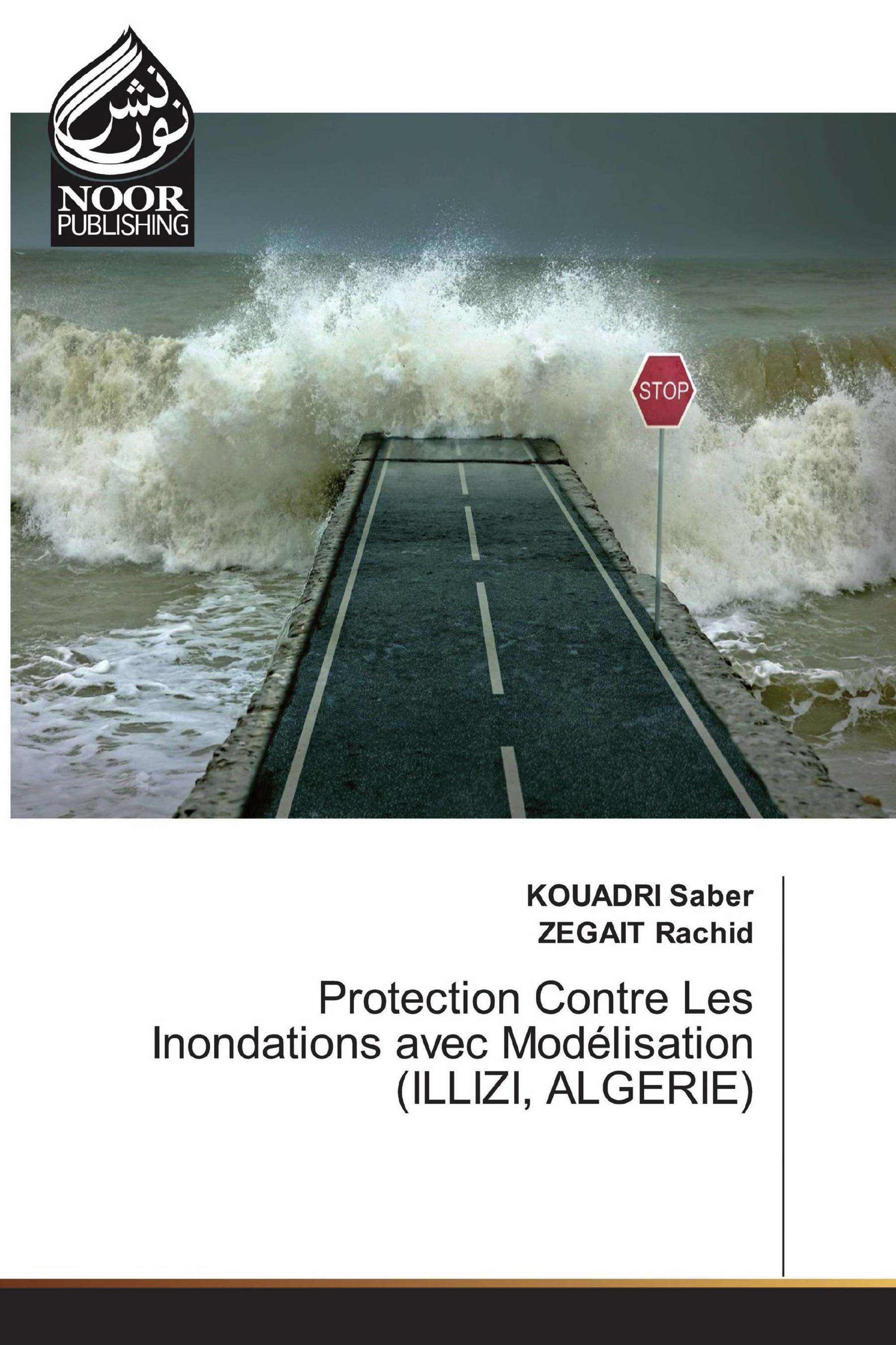 Protection Contre Les Inondations avec Modélisation (ILLIZI, ALGERIE)