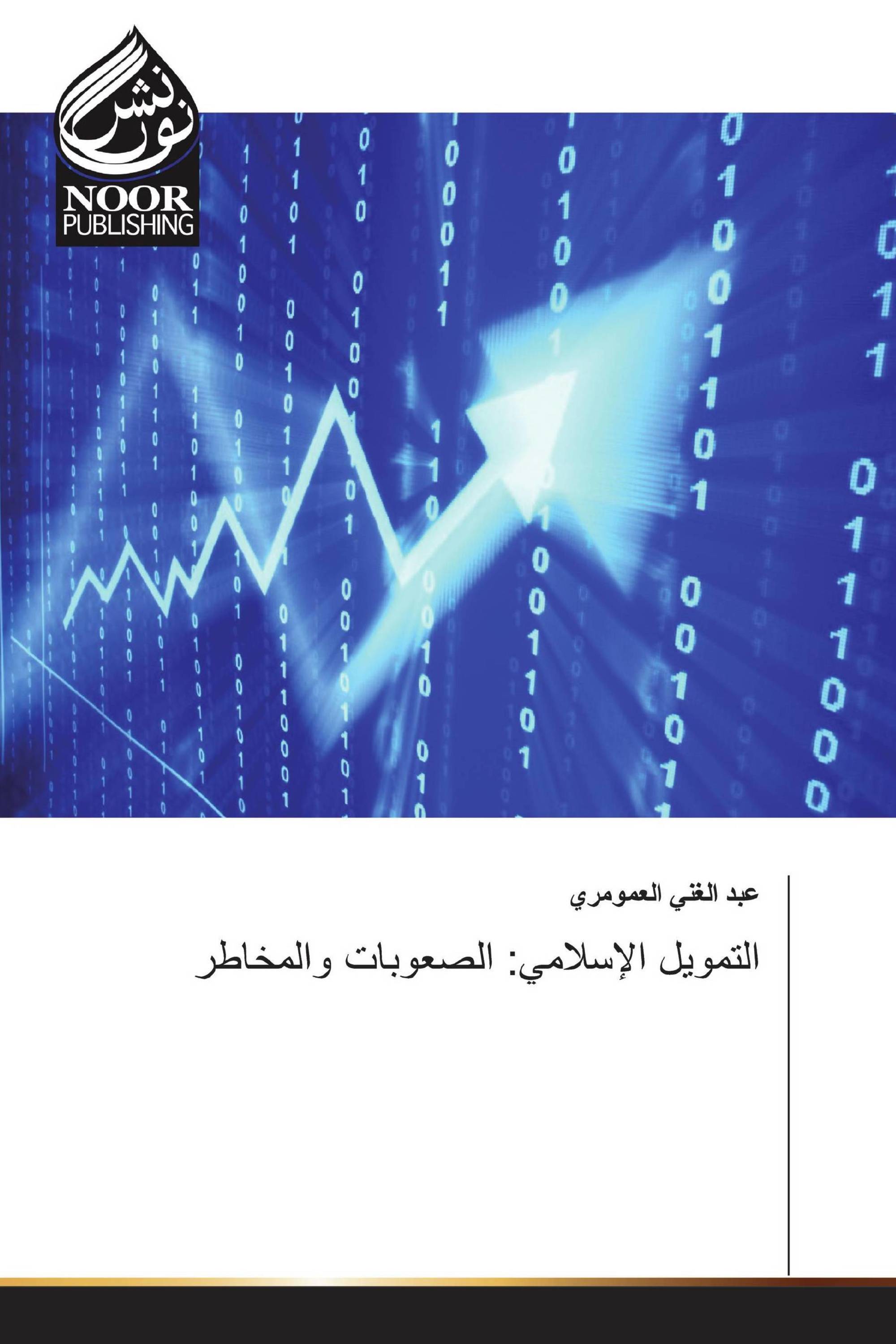 التمويل الإسلامي: الصعوبات والمخاطر