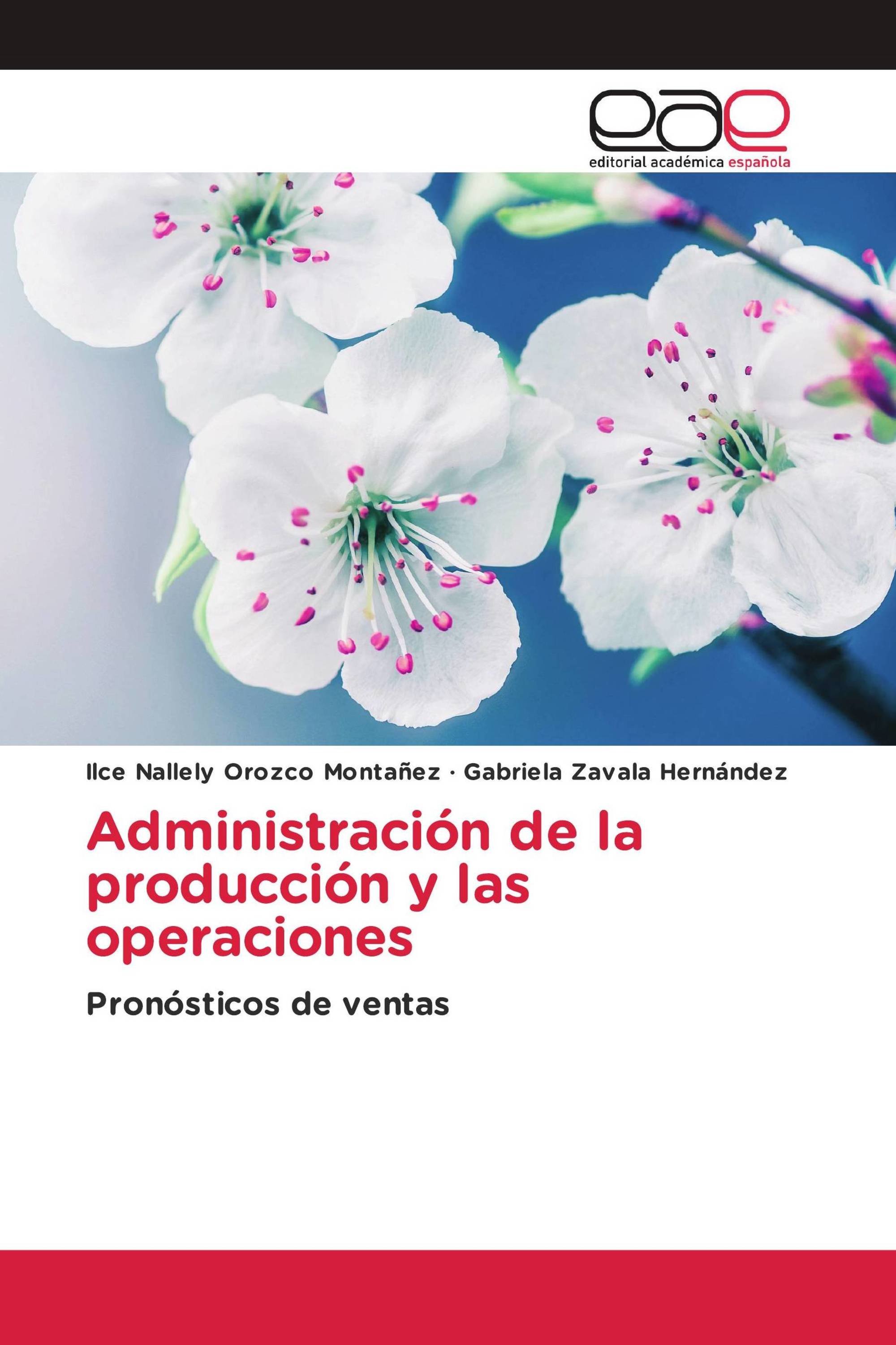 Administración de la producción y las operaciones