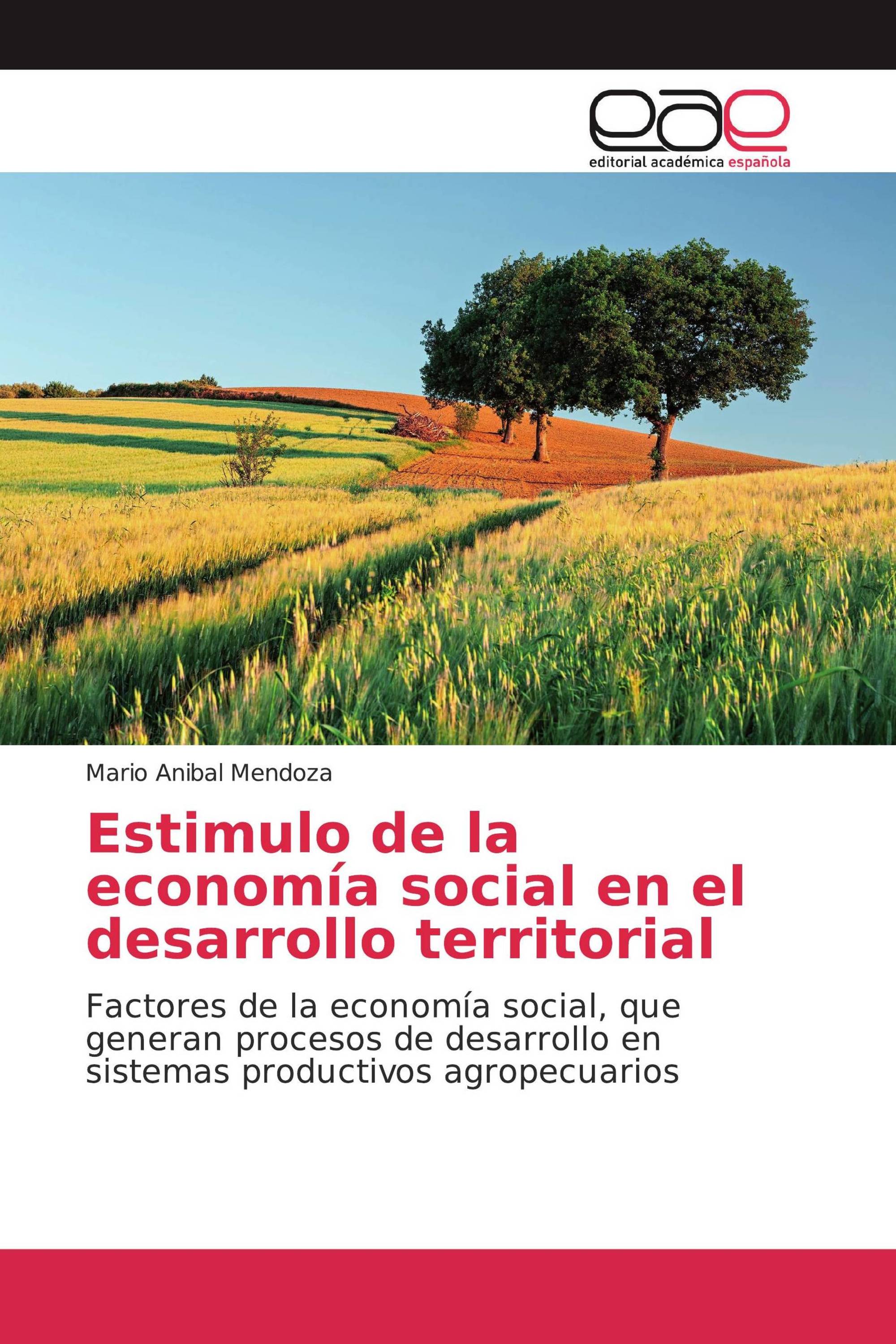 Estimulo de la economía social en el desarrollo territorial