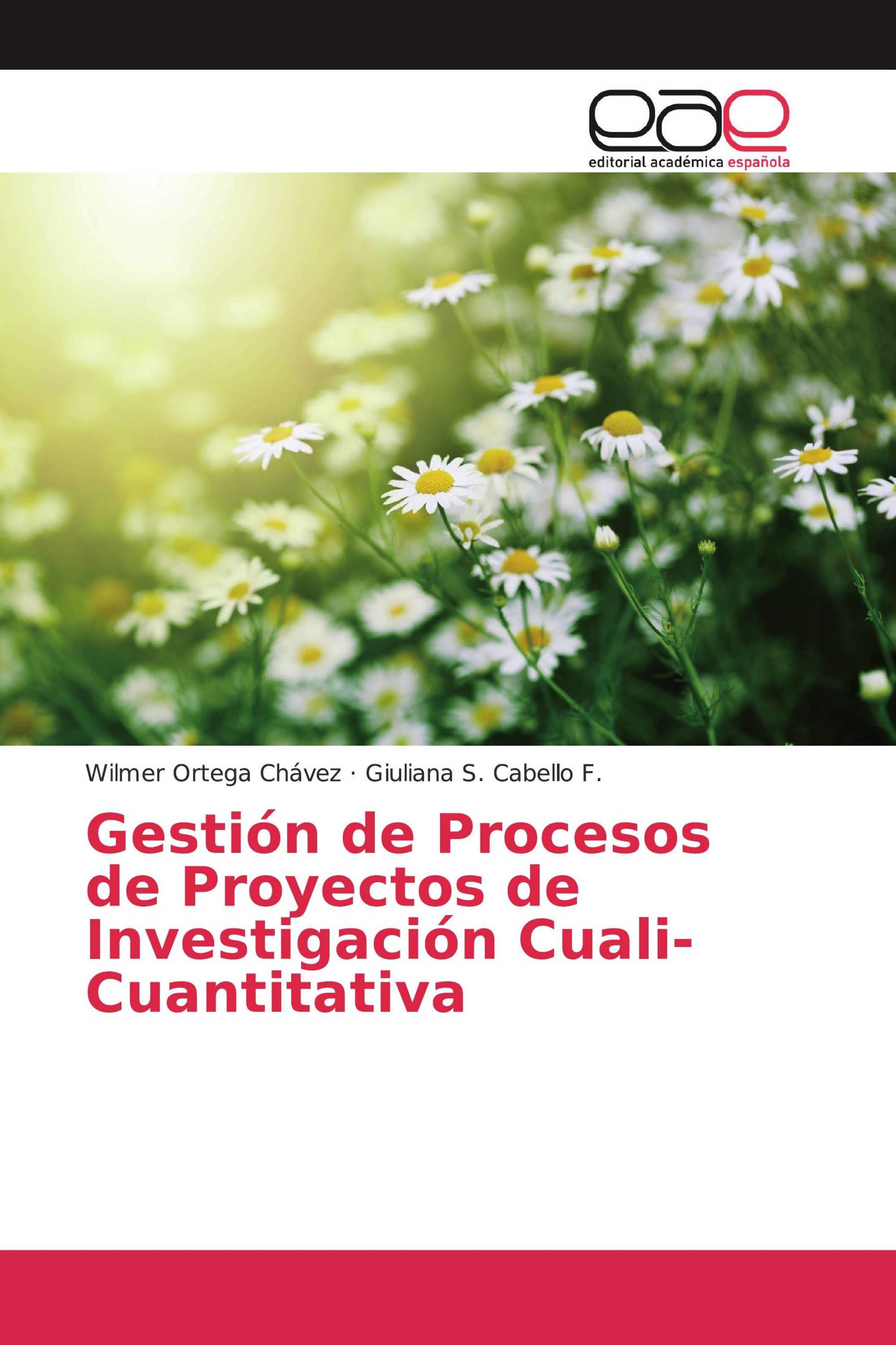 Gestión de Procesos de Proyectos de Investigación Cuali-Cuantitativa