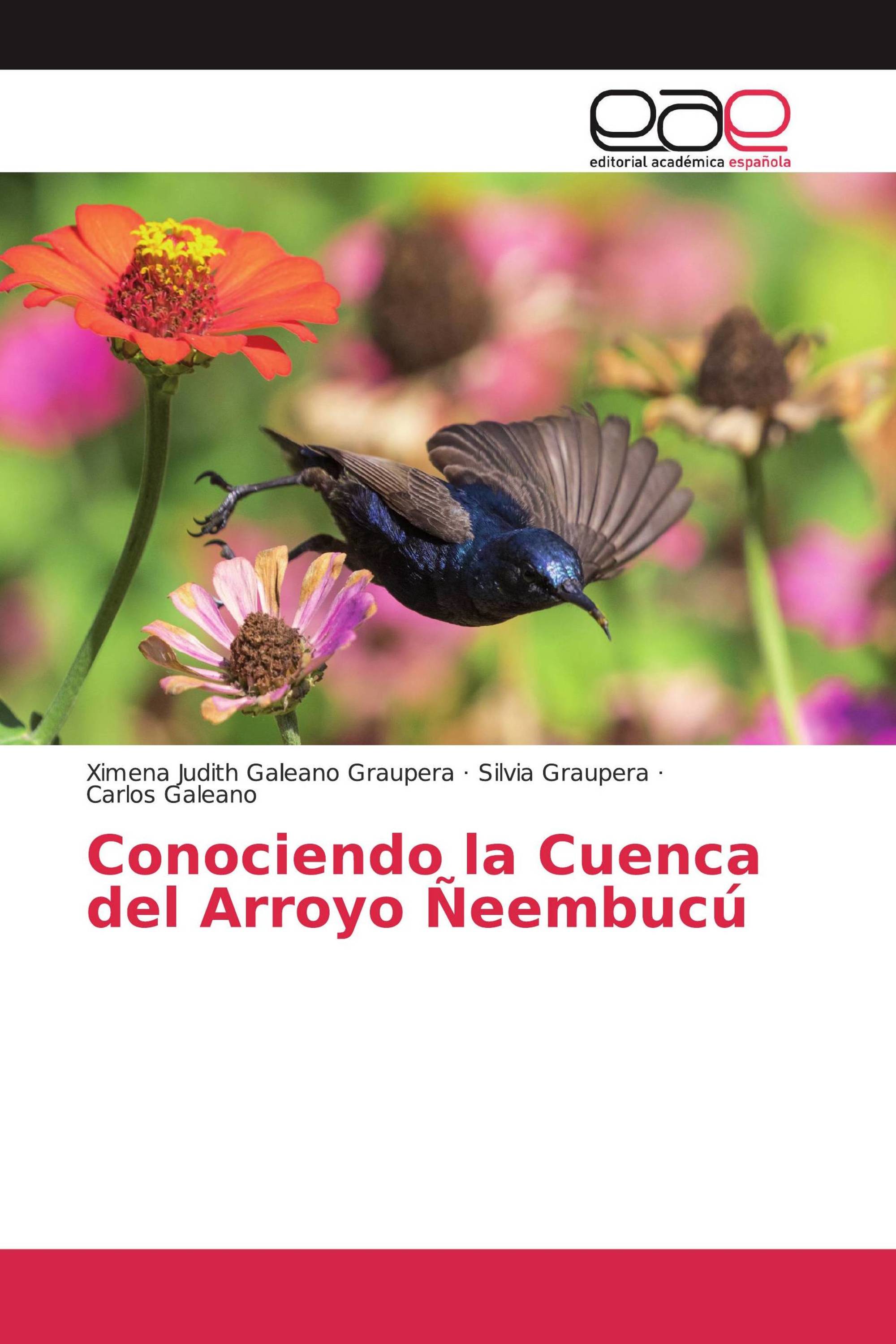 Conociendo la Cuenca del Arroyo Ñeembucú