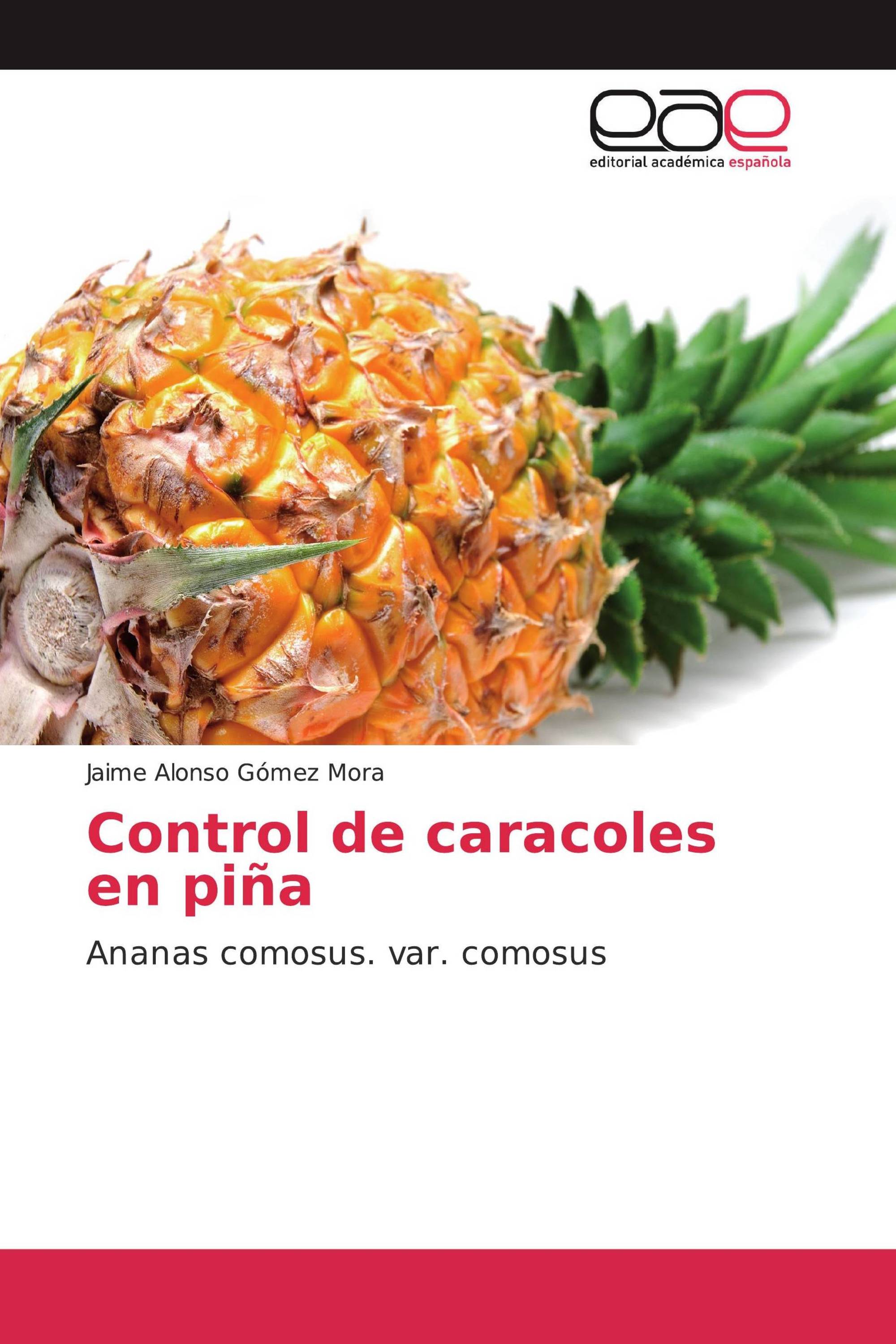 Control de caracoles en piña