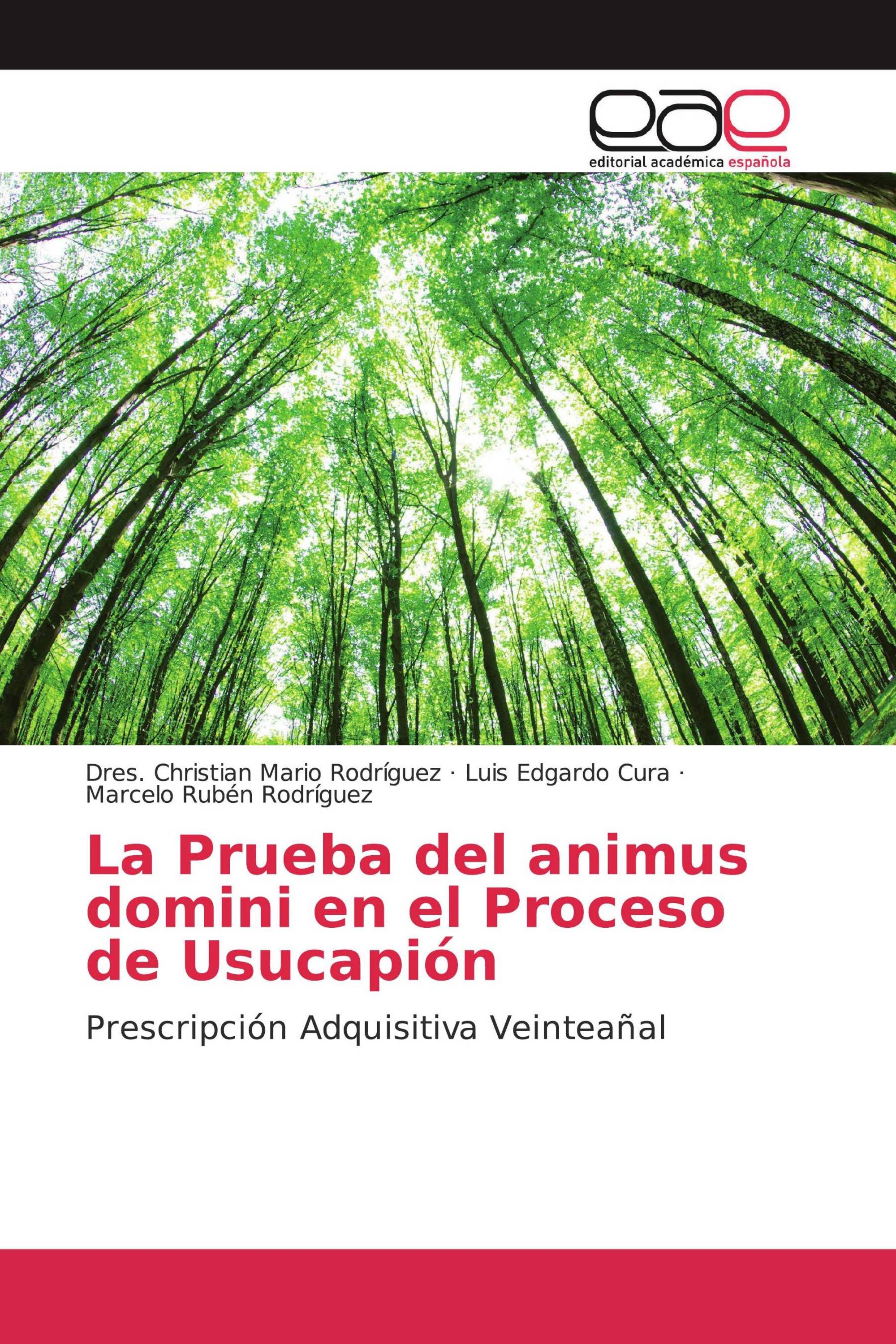 La Prueba del animus domini en el Proceso de Usucapión