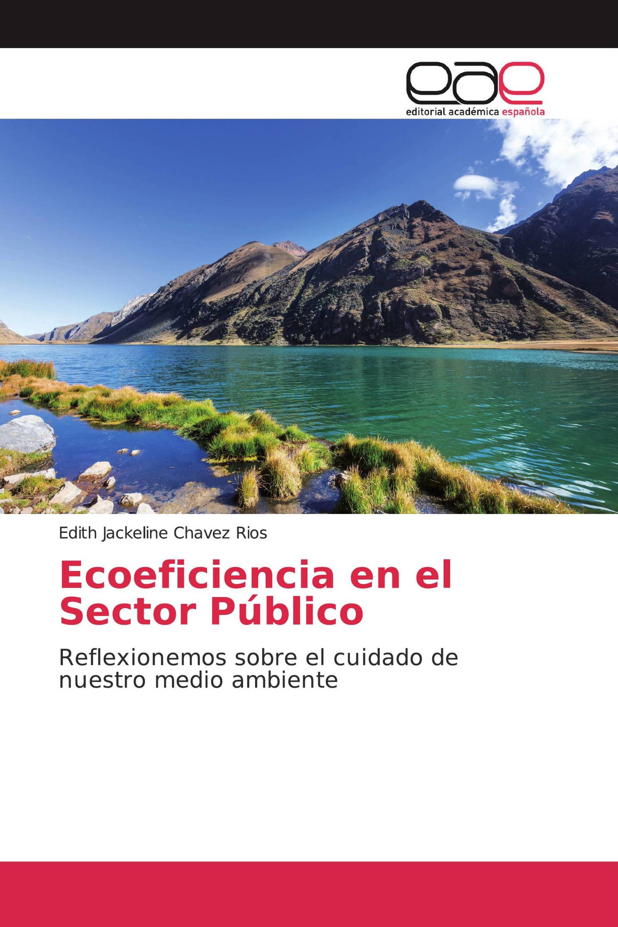 Ecoeficiencia en el Sector Público