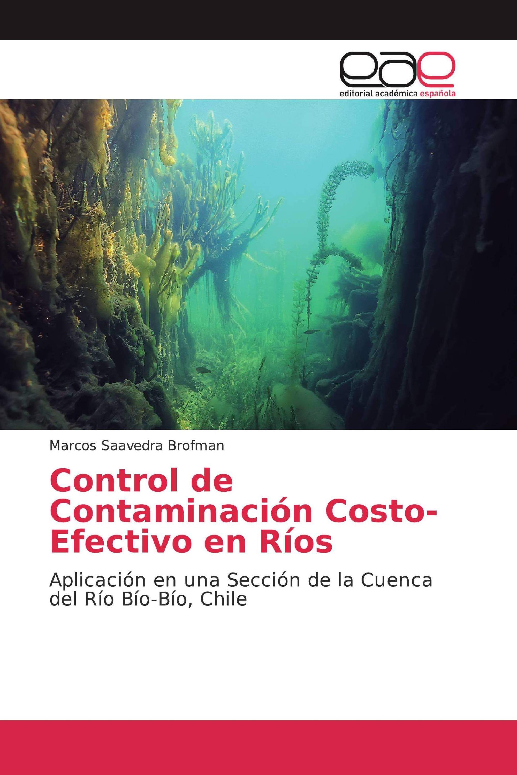 Control de Contaminación Costo-Efectivo en Ríos