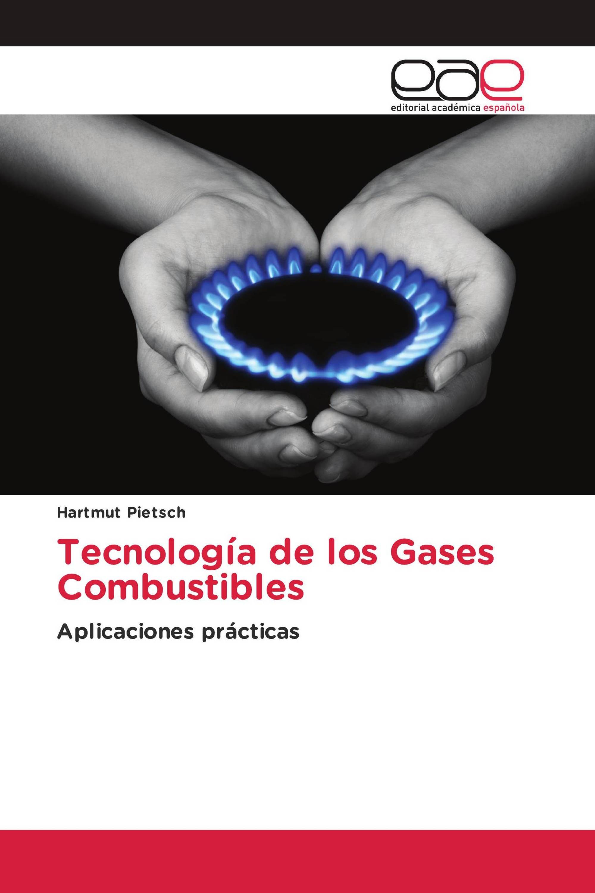 Tecnología de los Gases Combustibles