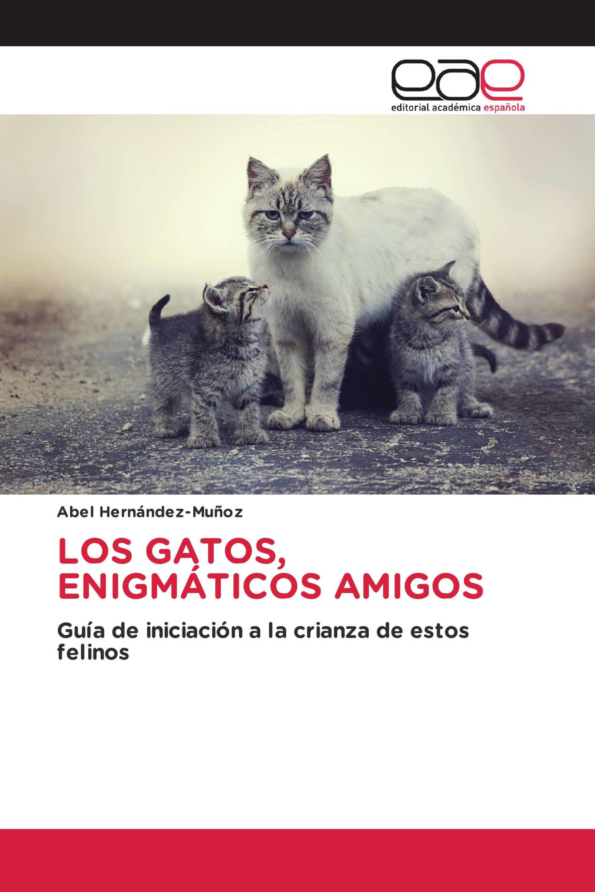 LOS GATOS, ENIGMÁTICOS AMIGOS