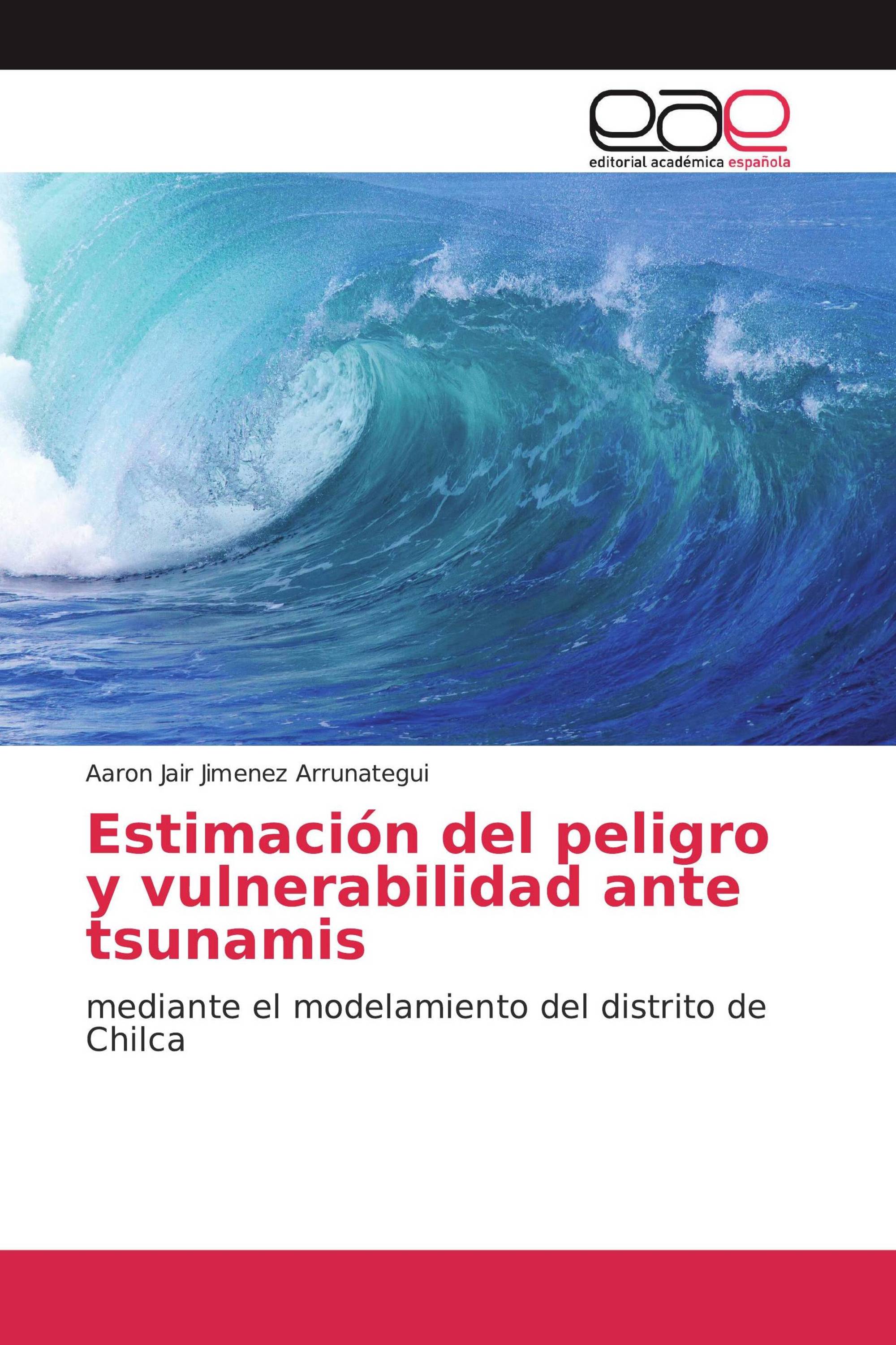 Estimación del peligro y vulnerabilidad ante tsunamis