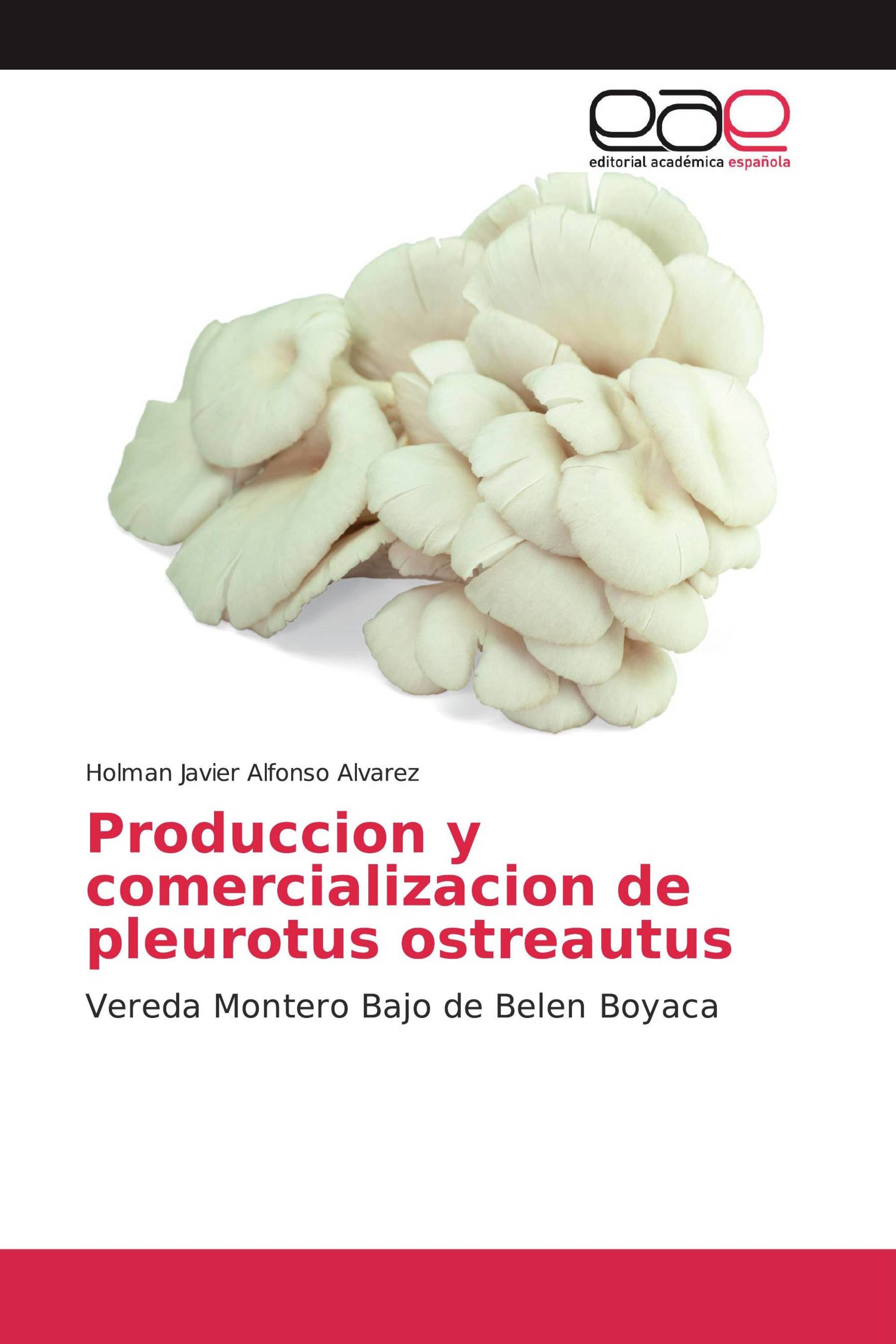 Produccion y comercializacion de pleurotus ostreautus