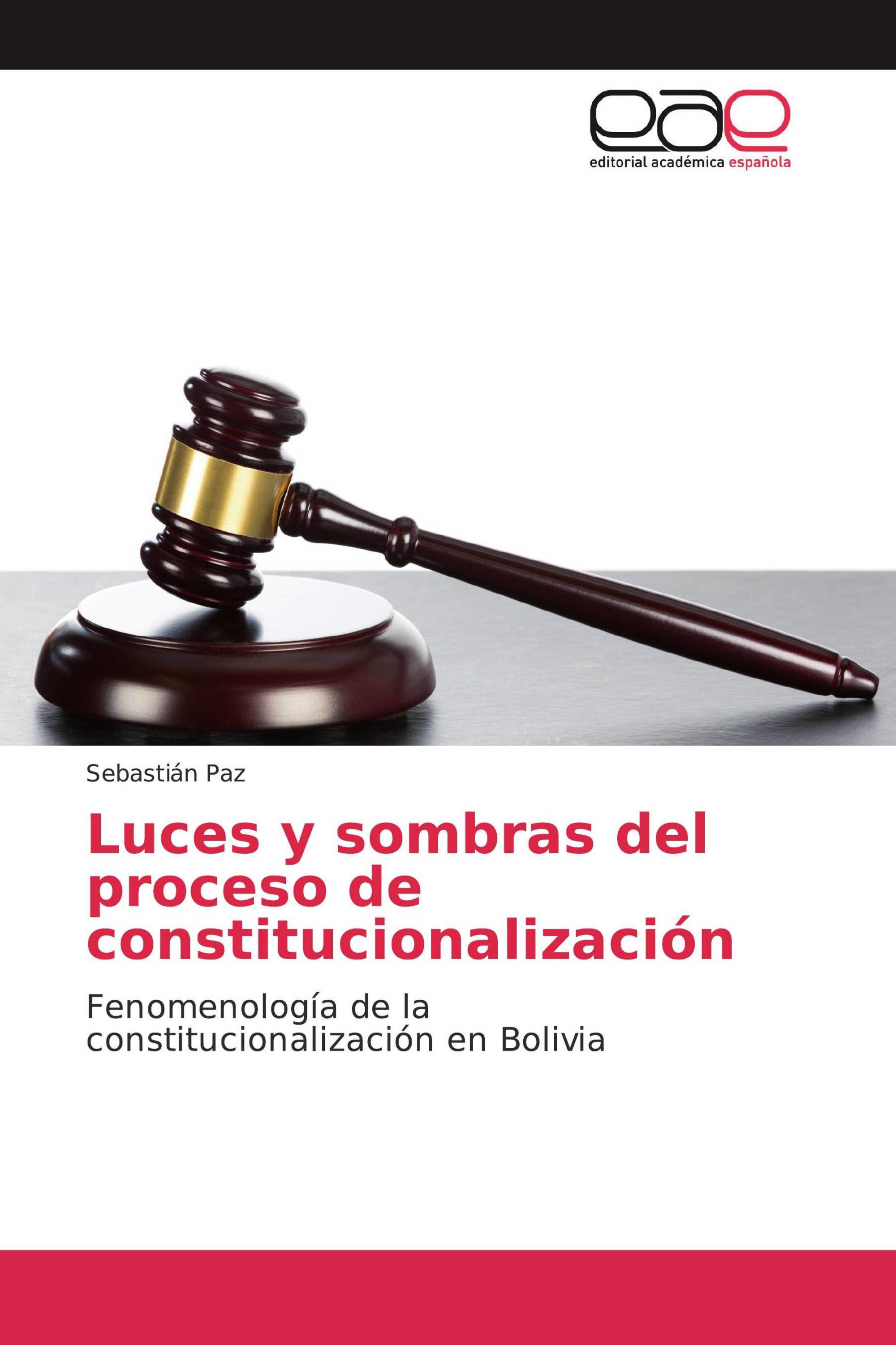 Luces y sombras del proceso de constitucionalización