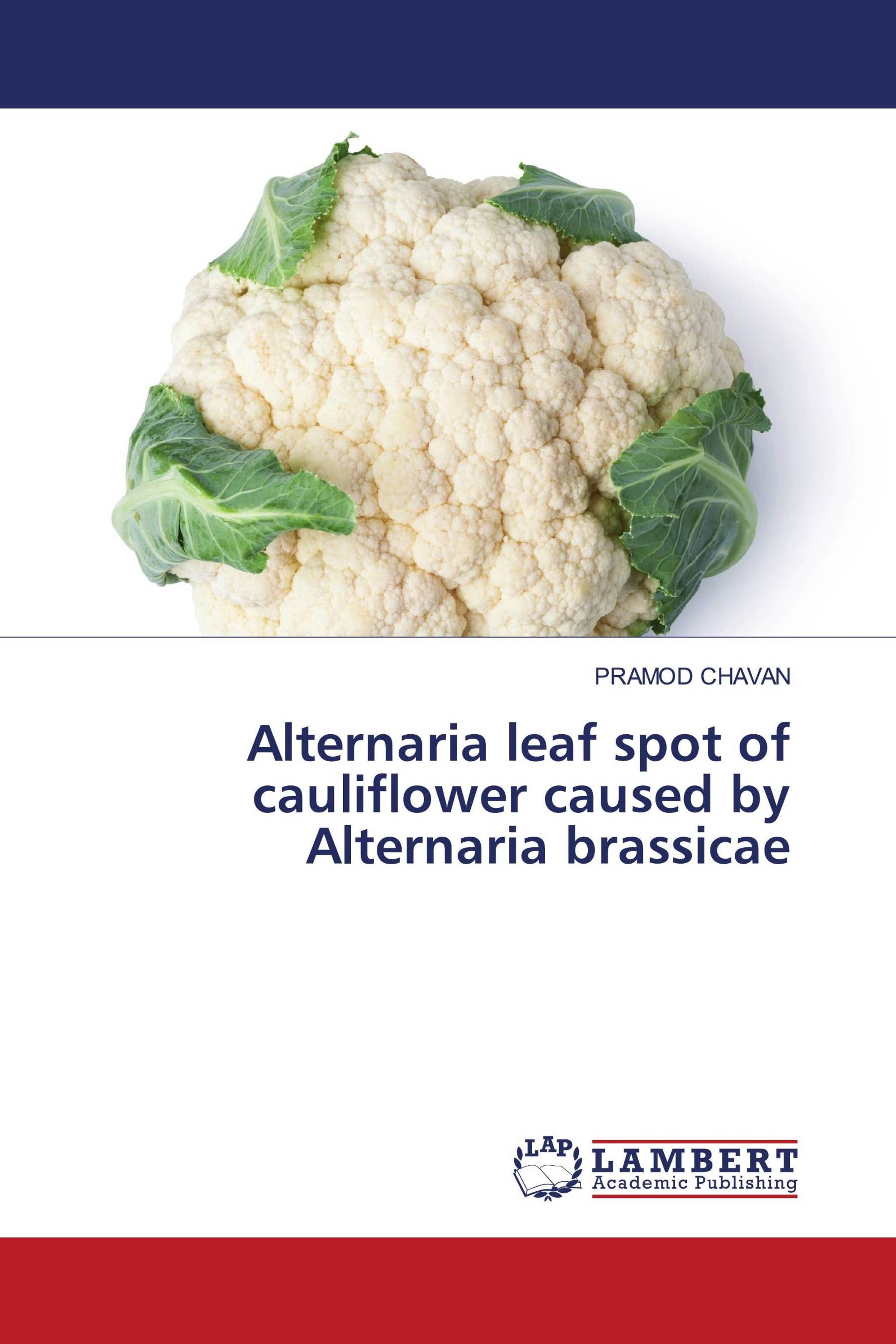 Alternaria leaf spot of cauliflower caused by Alternaria brassicae