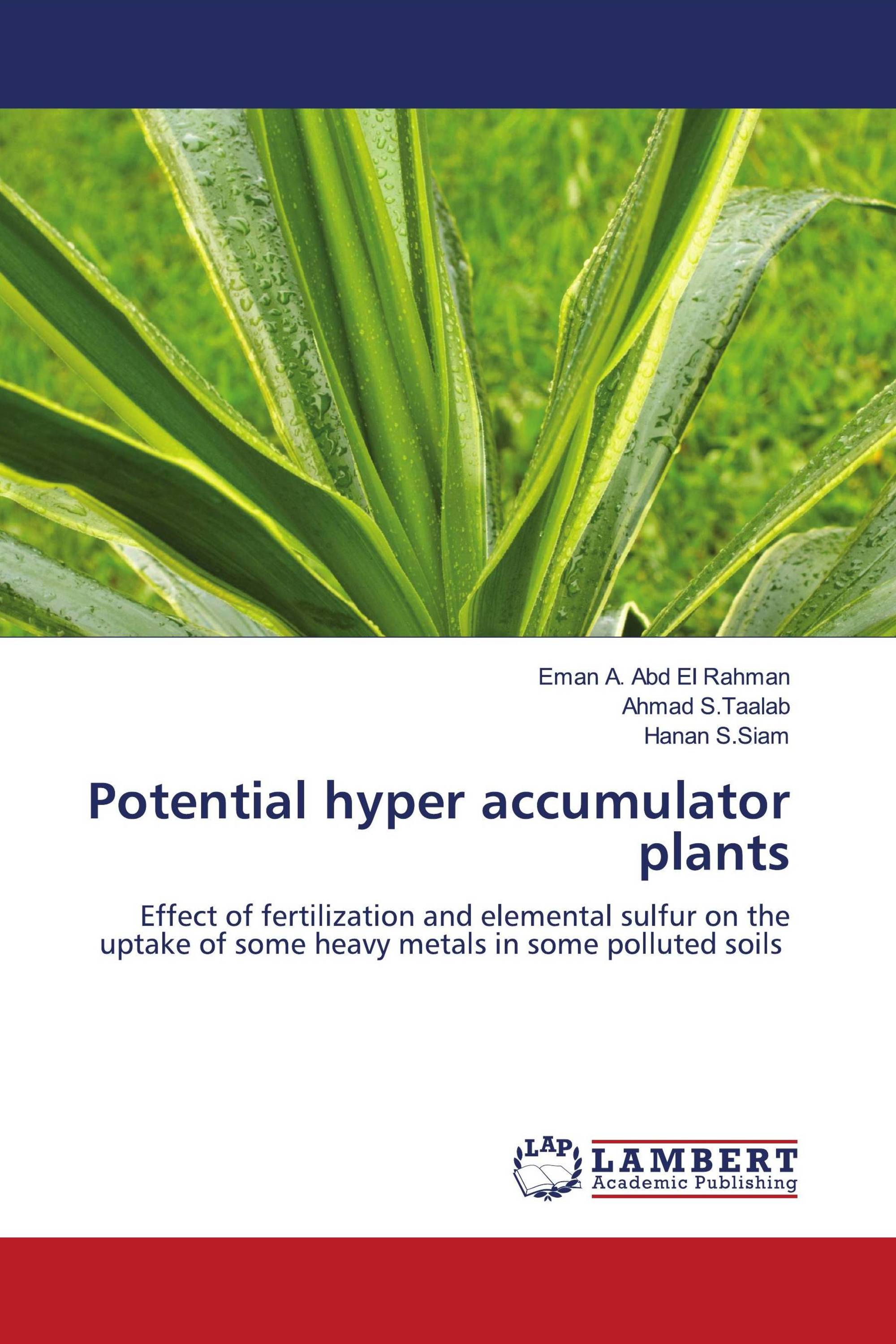 Potential hyper accumulator plants