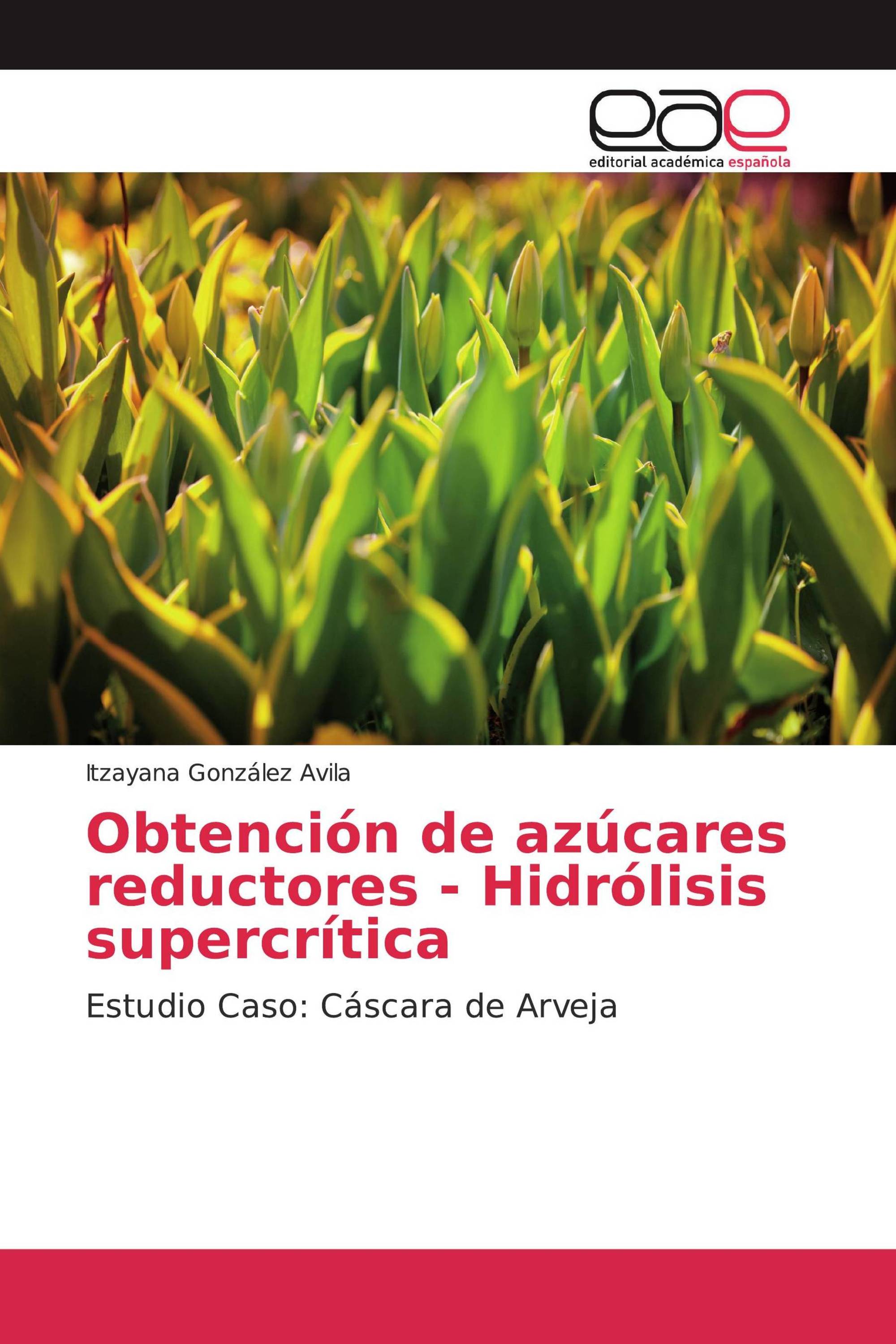 Obtención de azúcares reductores - Hidrólisis supercrítica