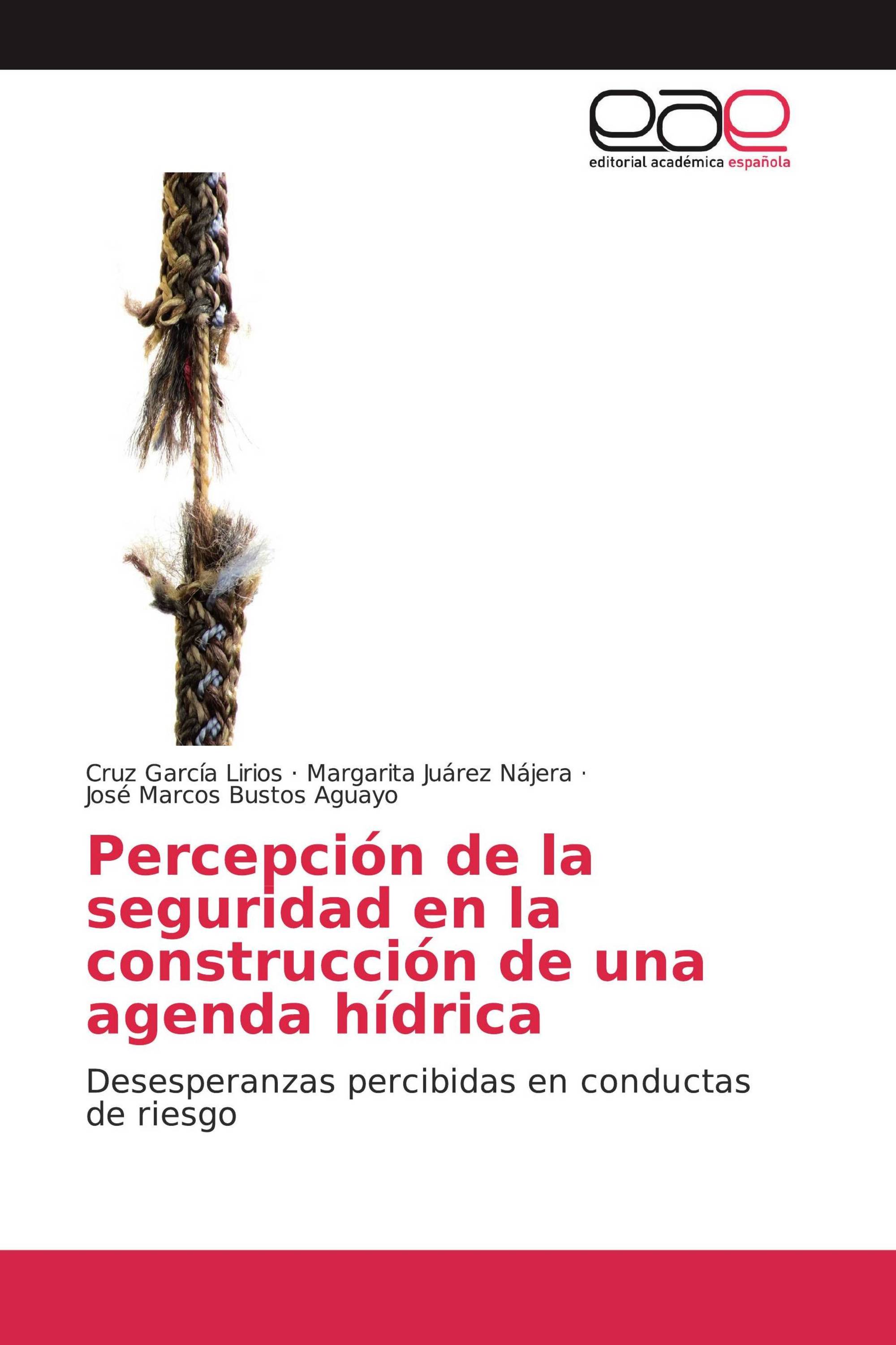 Percepción de la seguridad en la construcción de una agenda hídrica