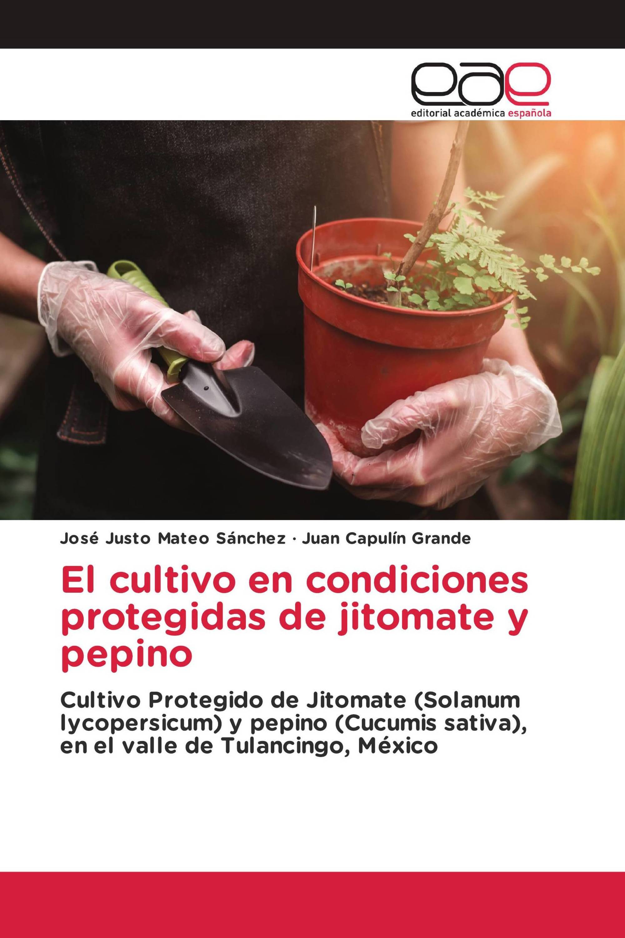 El cultivo en condiciones protegidas de jitomate y pepino