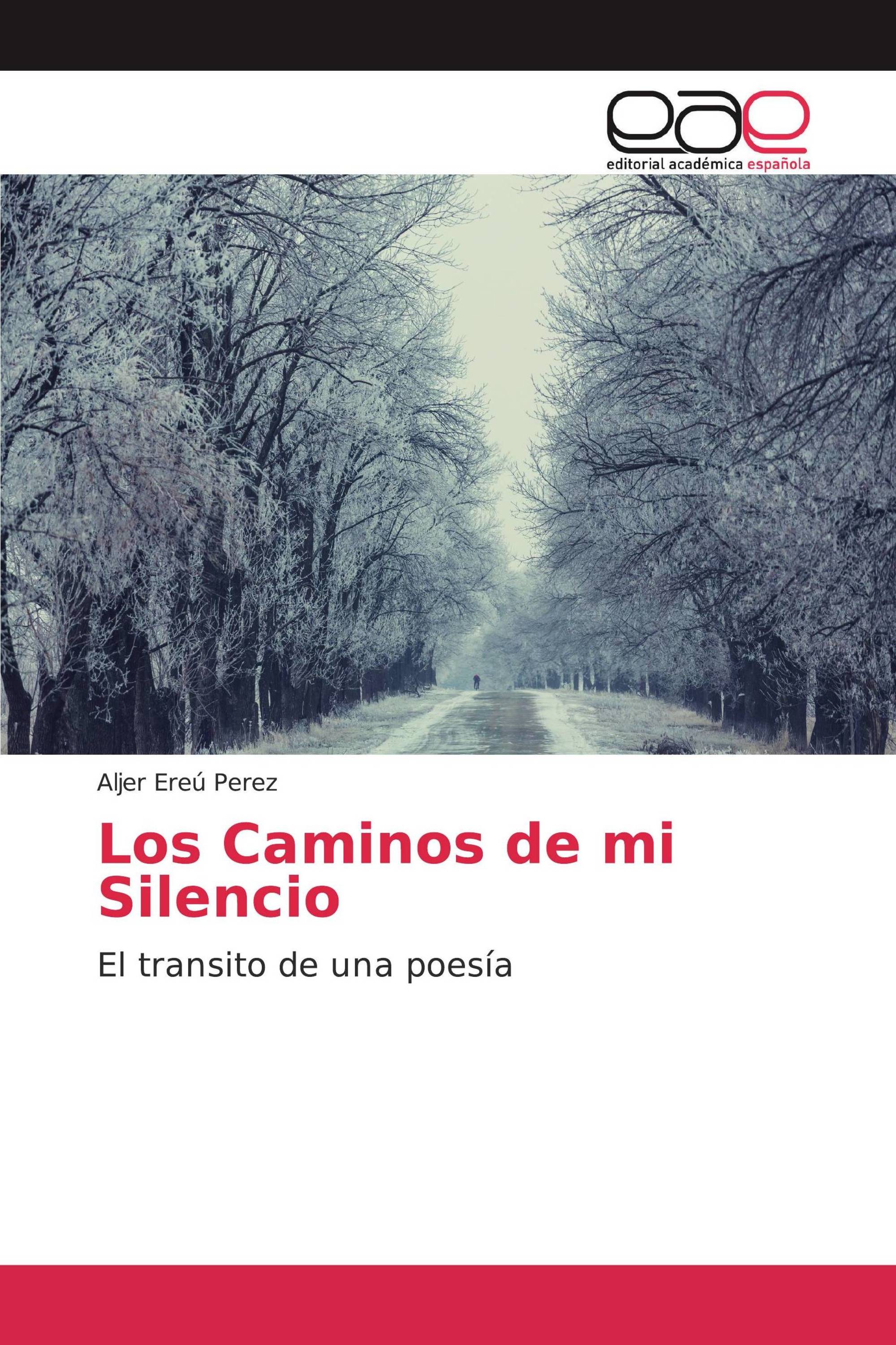 Los Caminos de mi Silencio