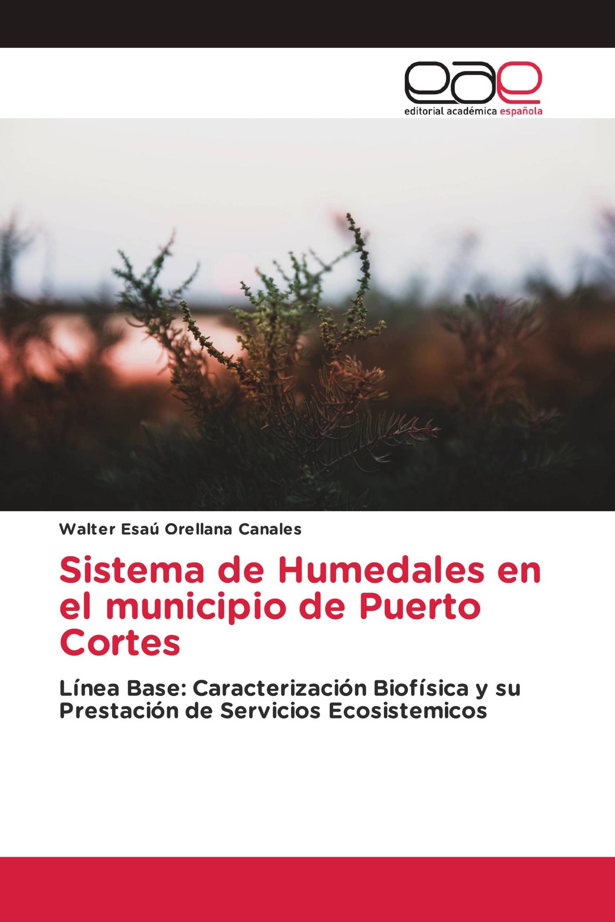 Sistema de Humedales en el municipio de Puerto Cortes