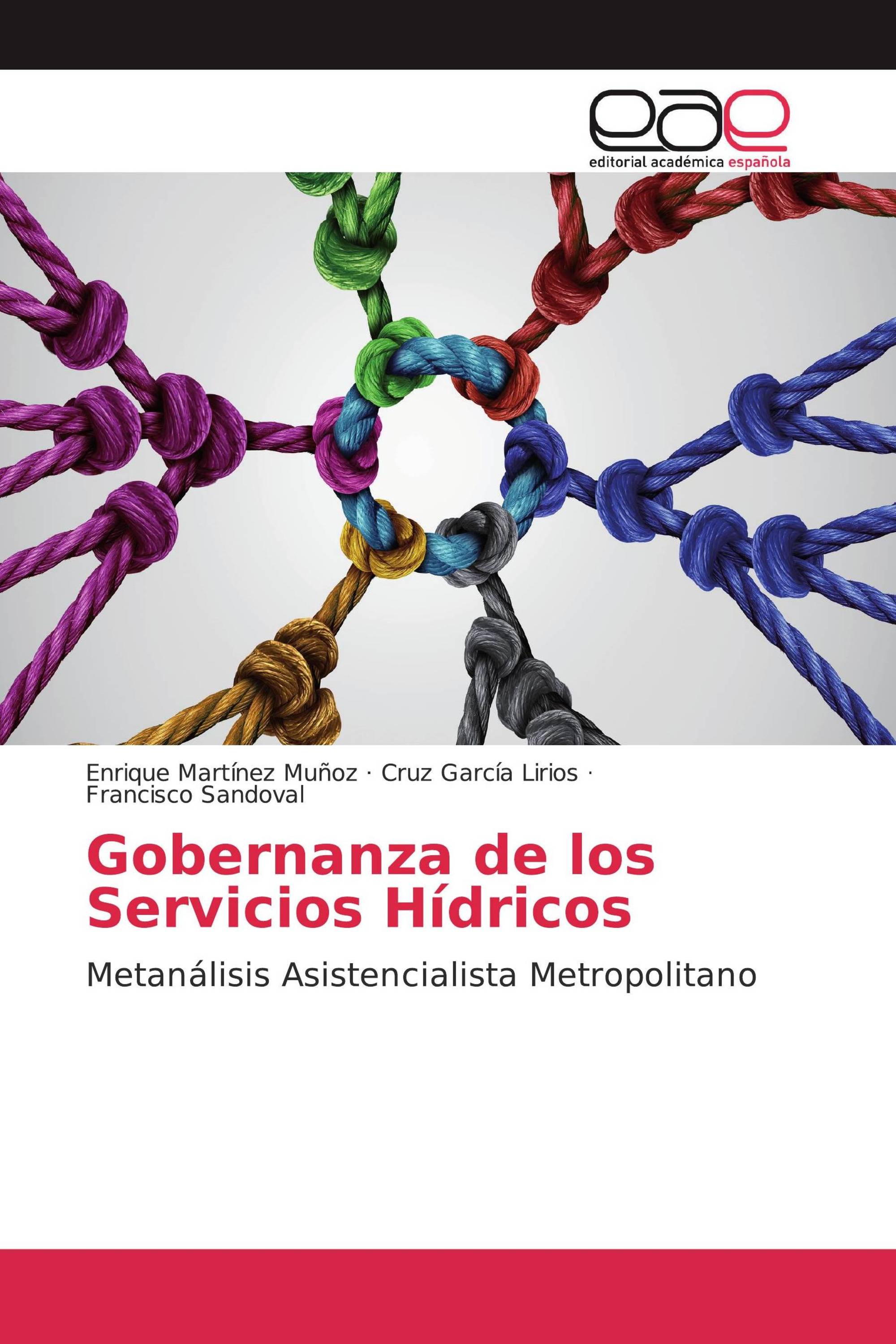 Gobernanza de los Servicios Hídricos