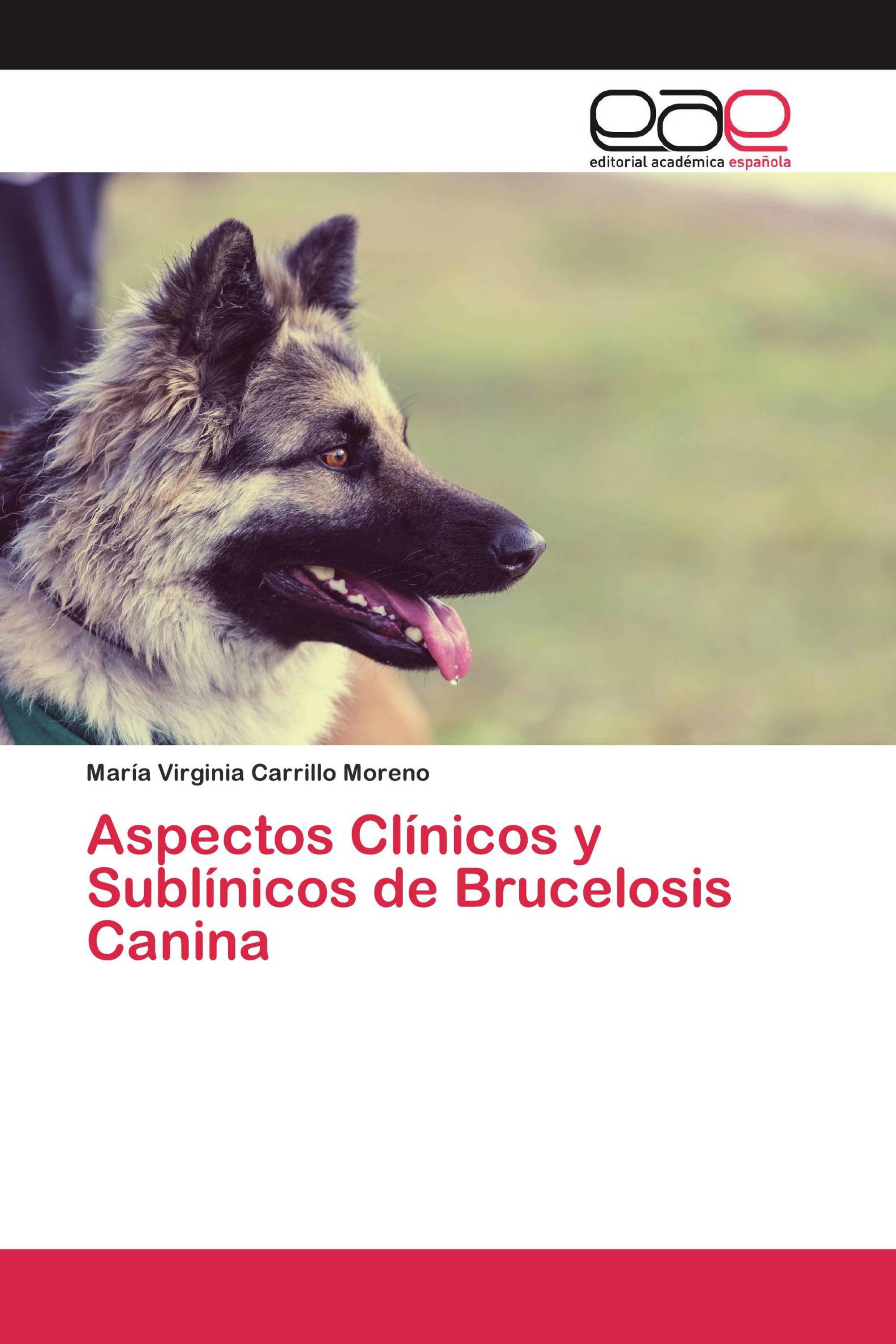 Aspectos Clínicos y Sublínicos de Brucelosis Canina