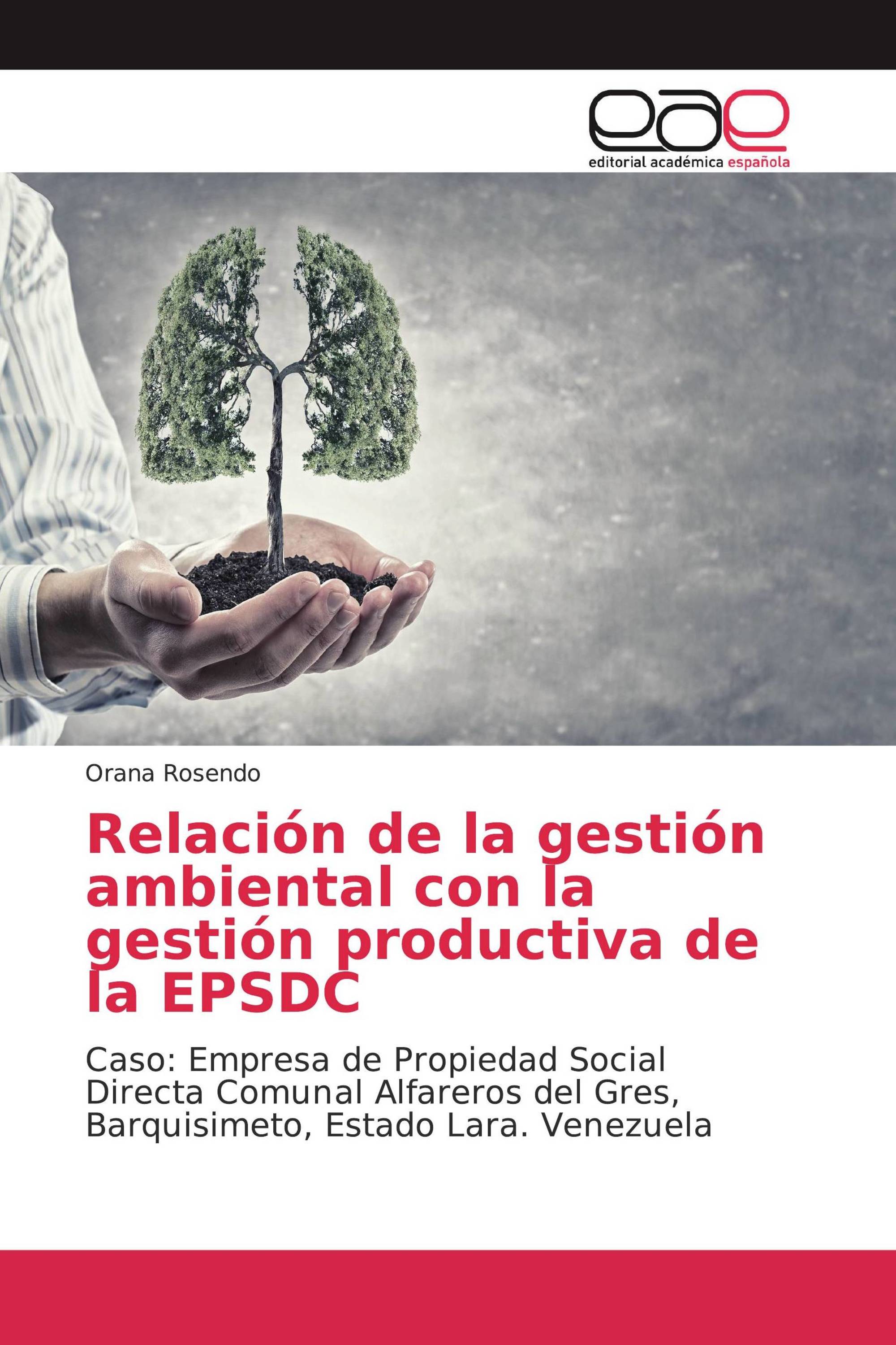 Relación de la gestión ambiental con la gestión productiva de la EPSDC