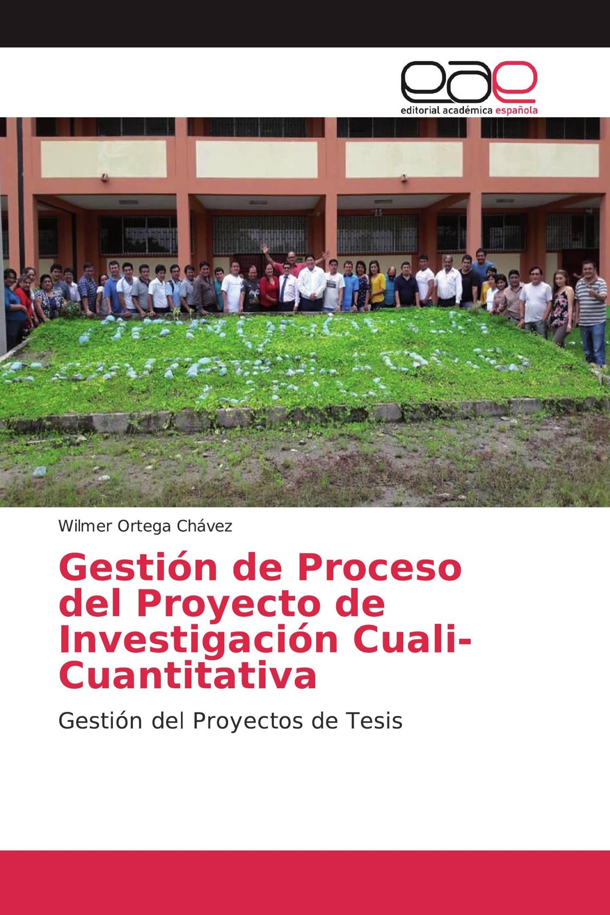 Gestión de Proceso del Proyecto de Investigación Cuali-Cuantitativa