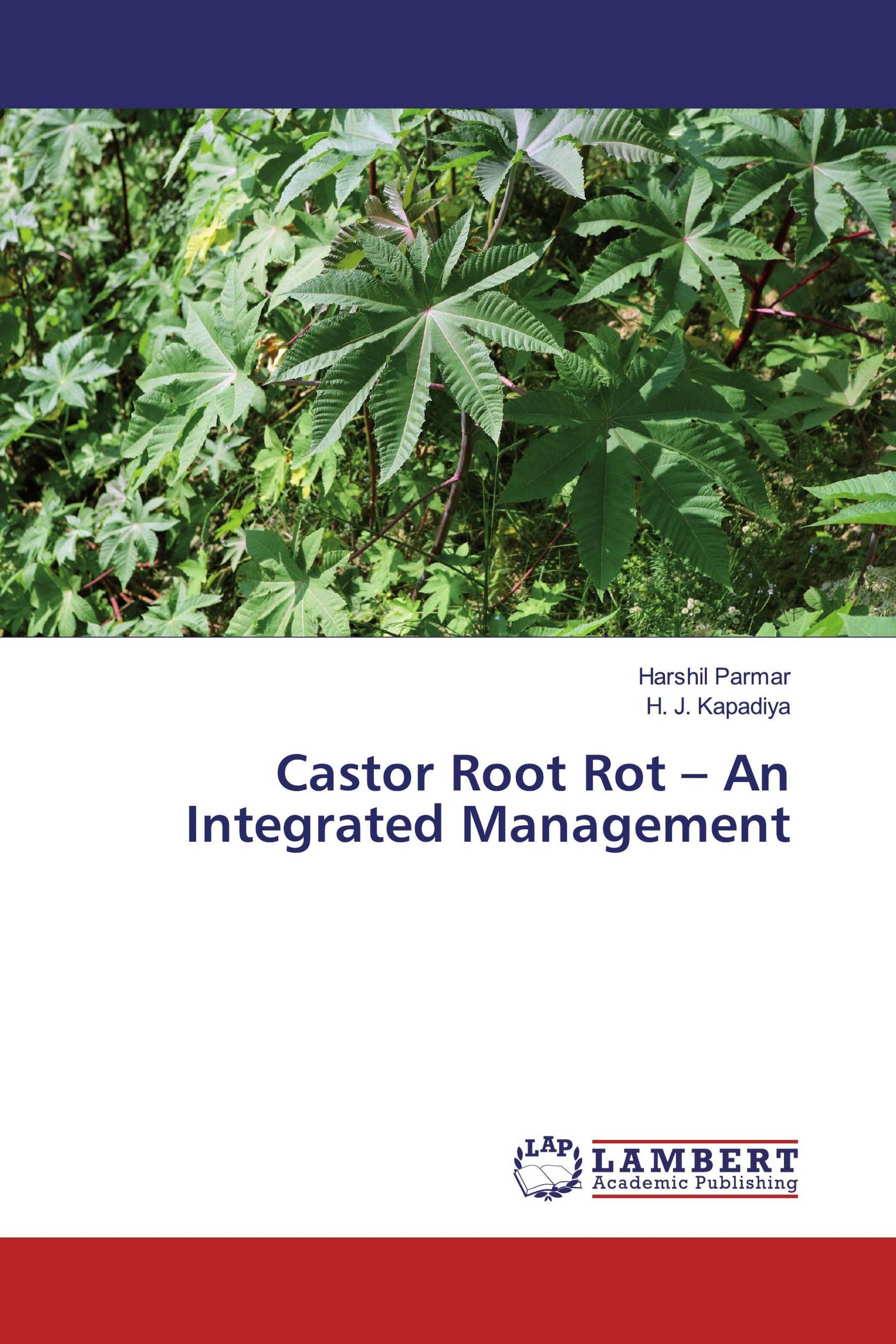 Castor Root Rot – An Integrated Management