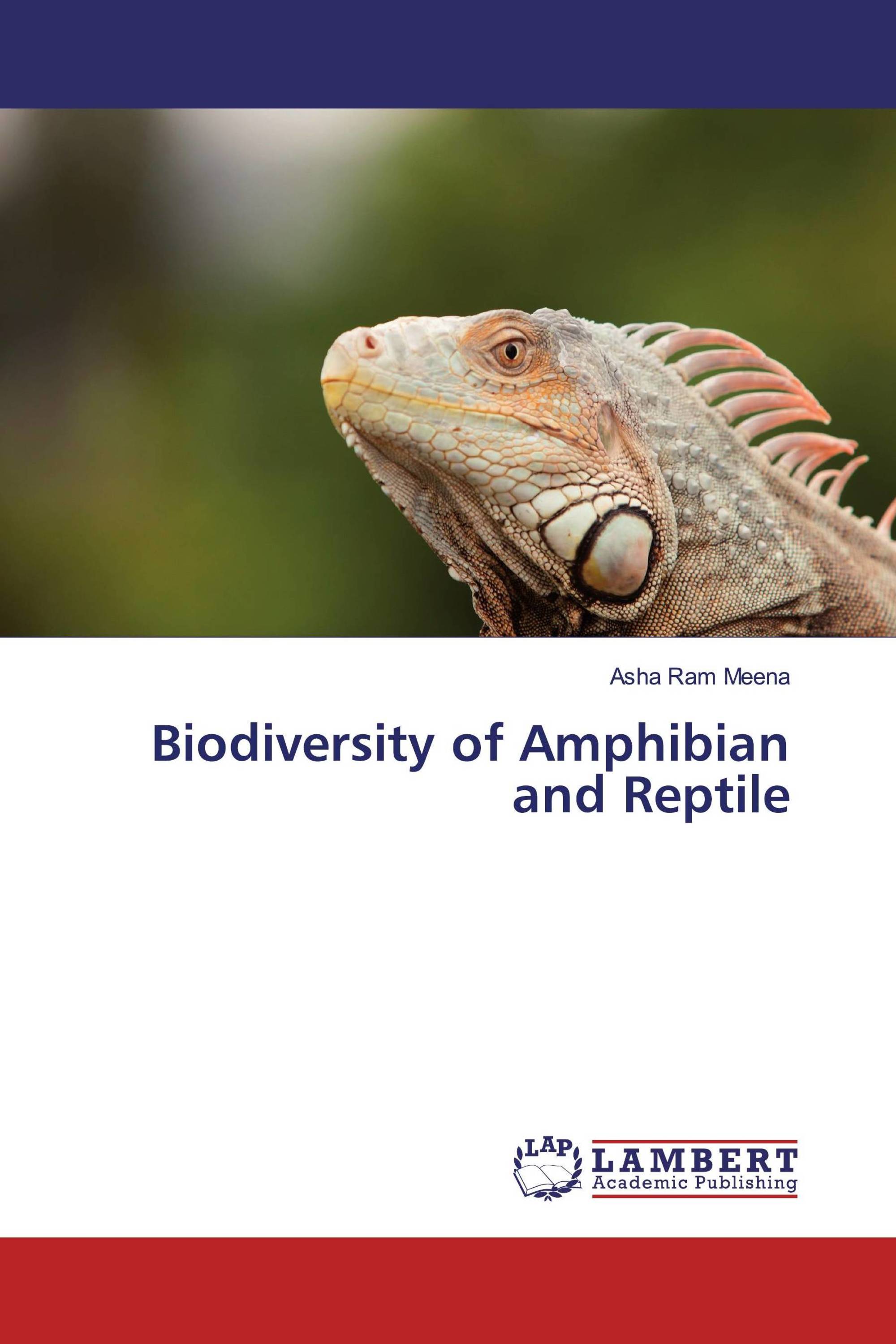 Biodiversity of Amphibian and Reptile