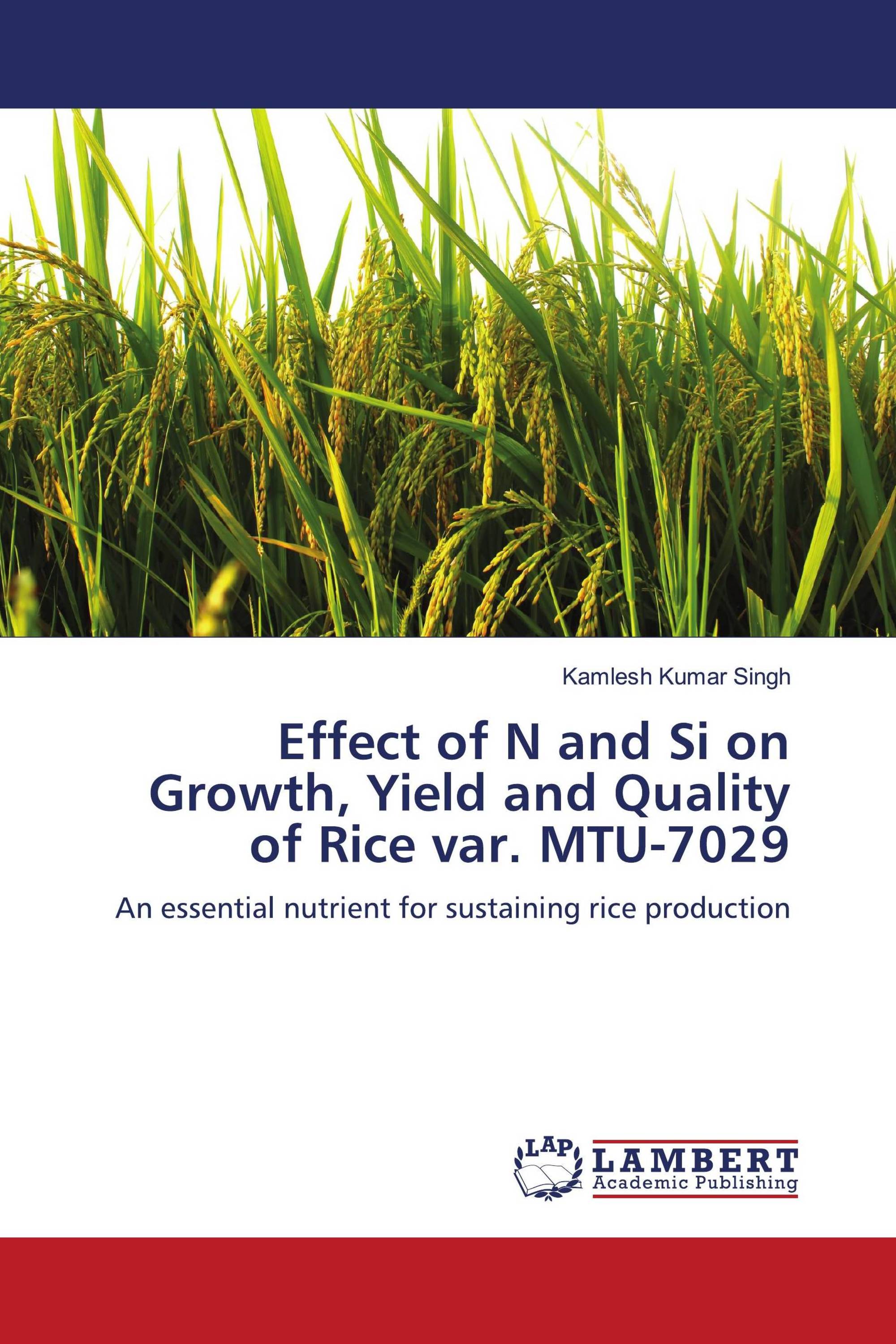 Effect of N and Si on Growth, Yield and Quality of Rice var. MTU-7029