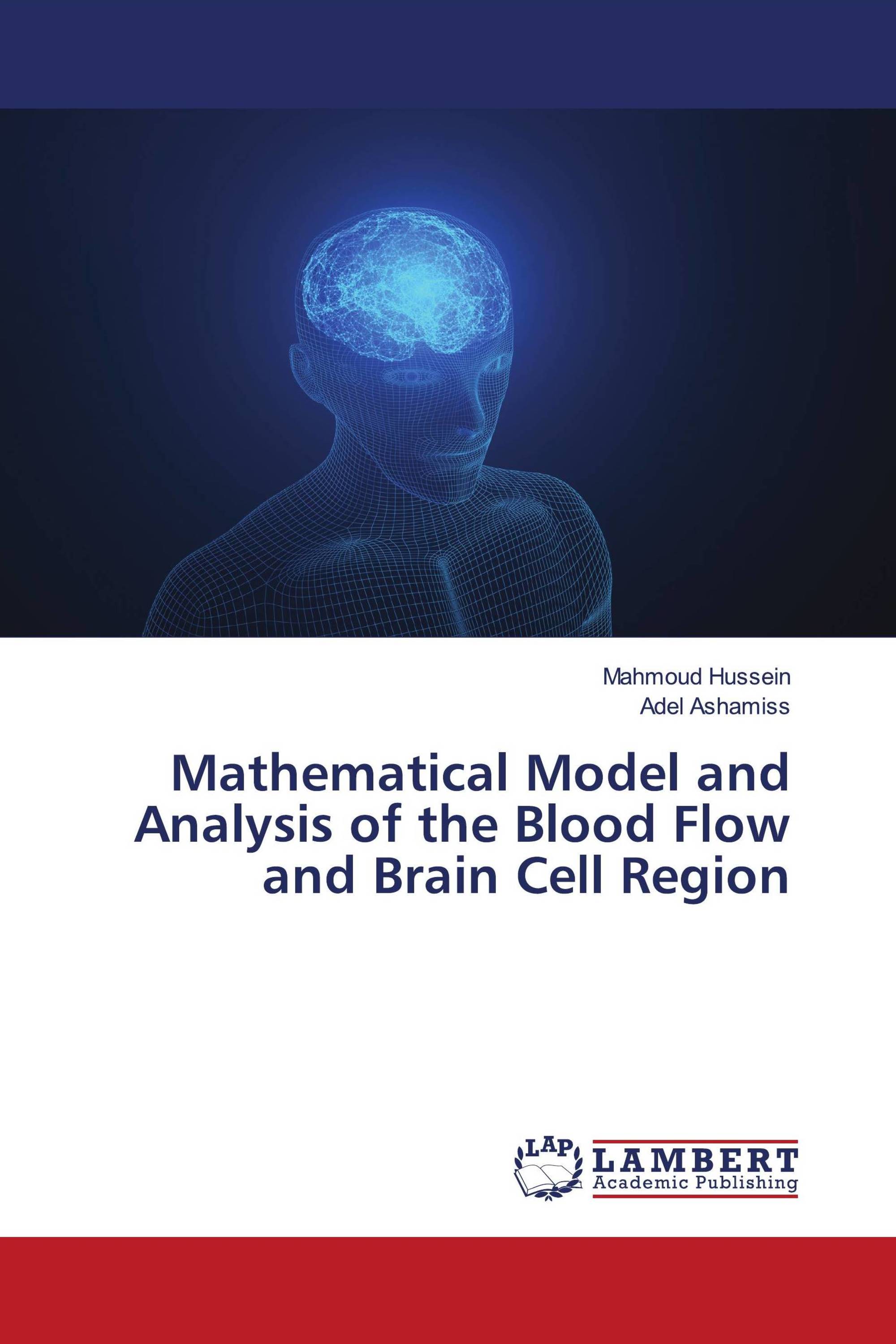 Mathematical Model and Analysis of the Blood Flow and Brain Cell Region